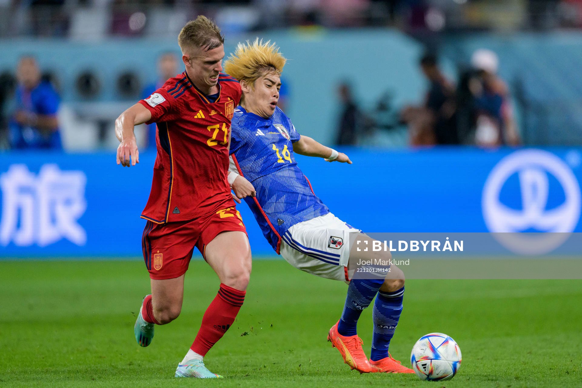 Dani Olmo of Spain and Junya Ito of Japan during the FIFA World Cup 2022 football match between Japan and Spain on December 1, 2022 in Doha.