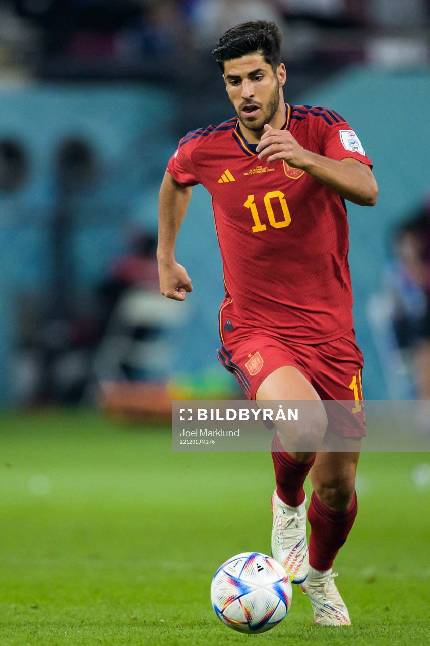 Marco Asensio of Spain during the FIFA World Cup 2022 football match between Japan and Spain on December 1, 2022 in Doha. 