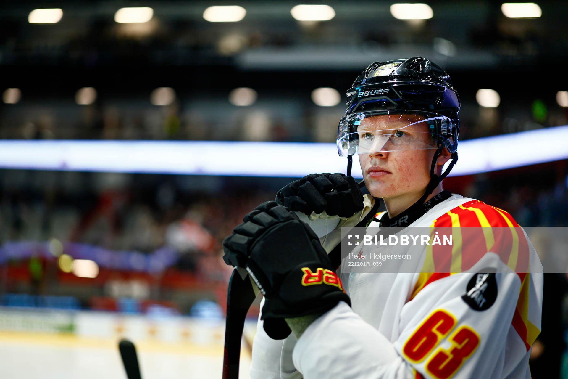 Brynäs Julius Bergman