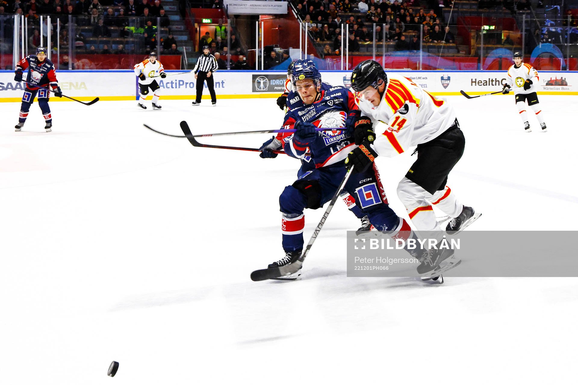 Linköpings Arvid Costmar och Brynäs Alexander Ljungkrantz