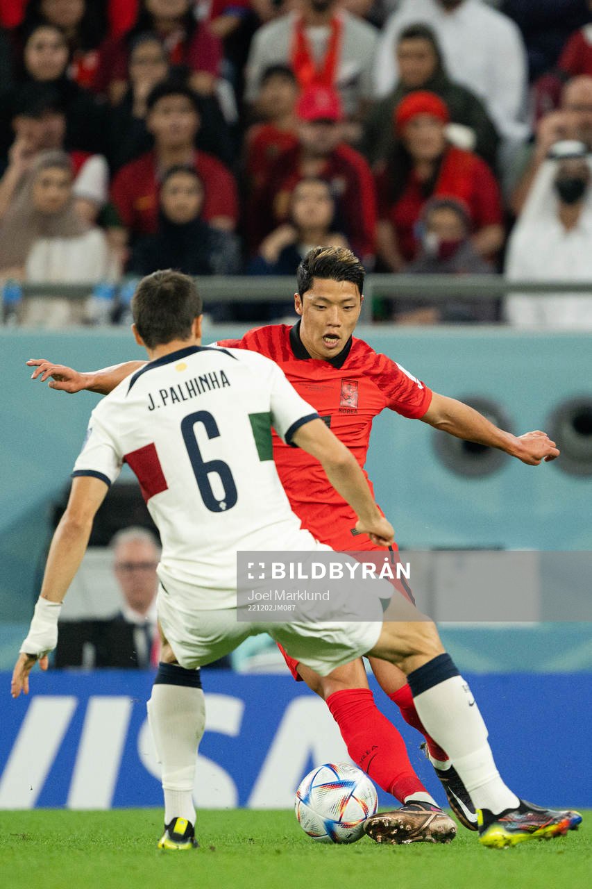 Heechan Hwang of South Korea and Joao Palhinha of Portugal