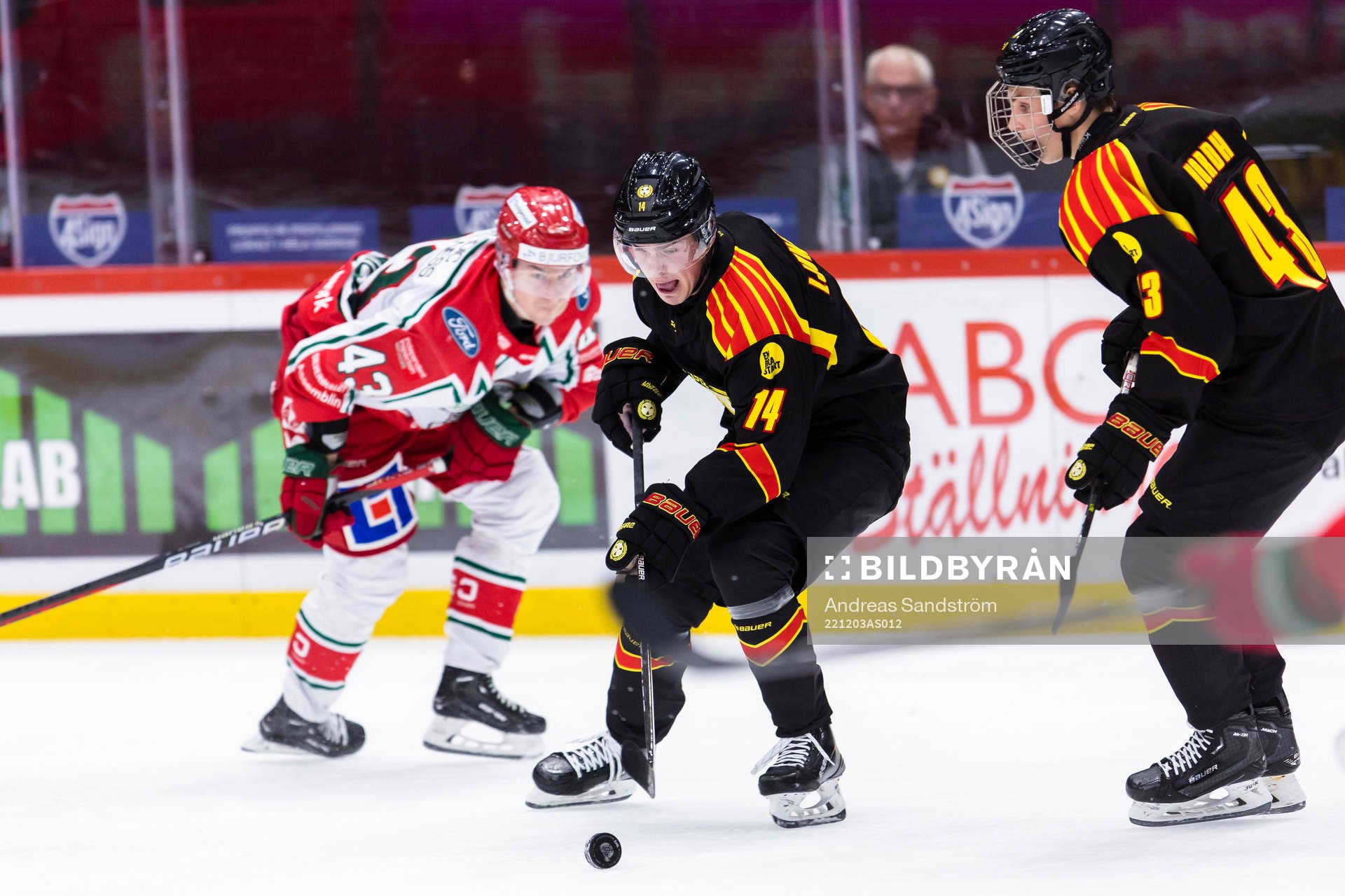 Brynäs Alexander Ljungkrantz