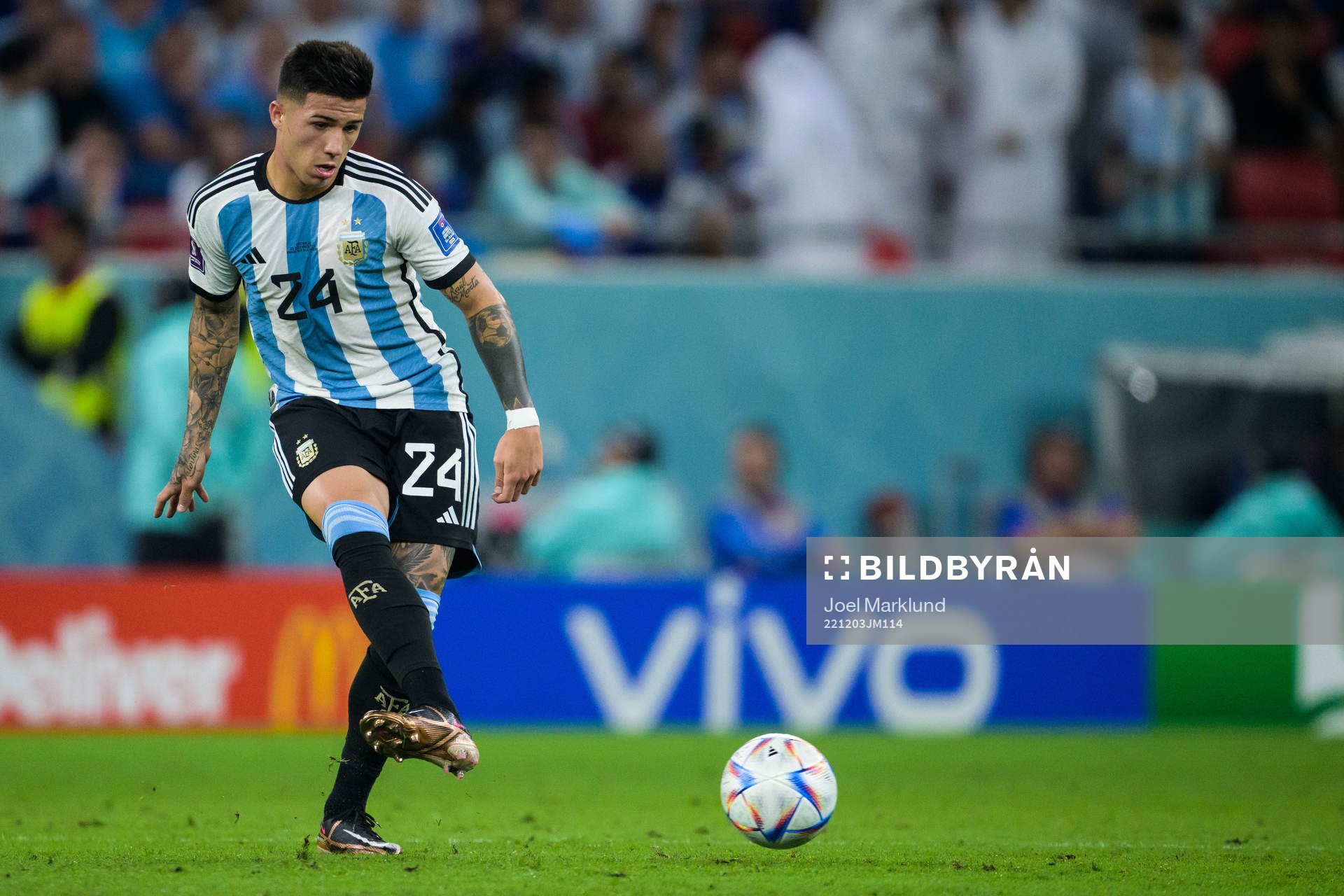 Enzo Fernandez of Argentina