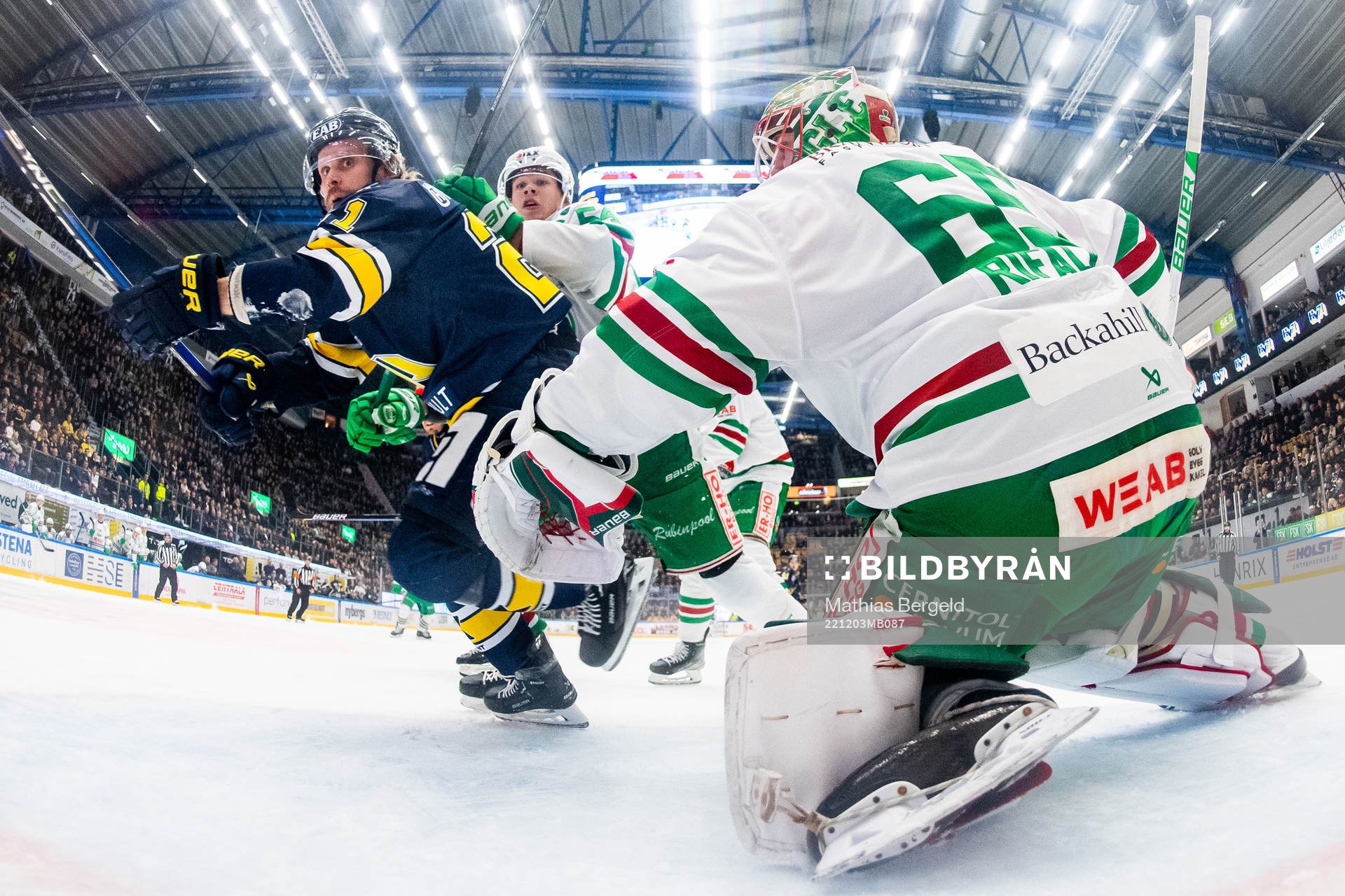 HV71s Mattias Tedenby