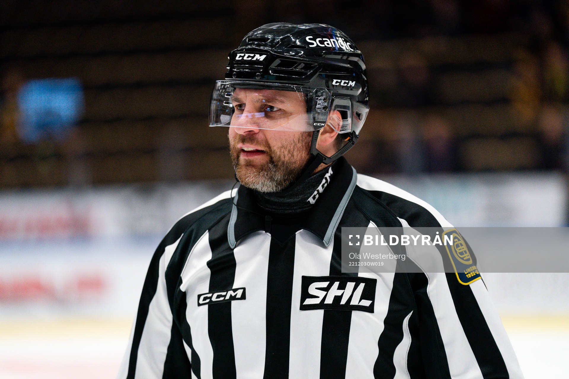Linjedomare Emil Yletyinen