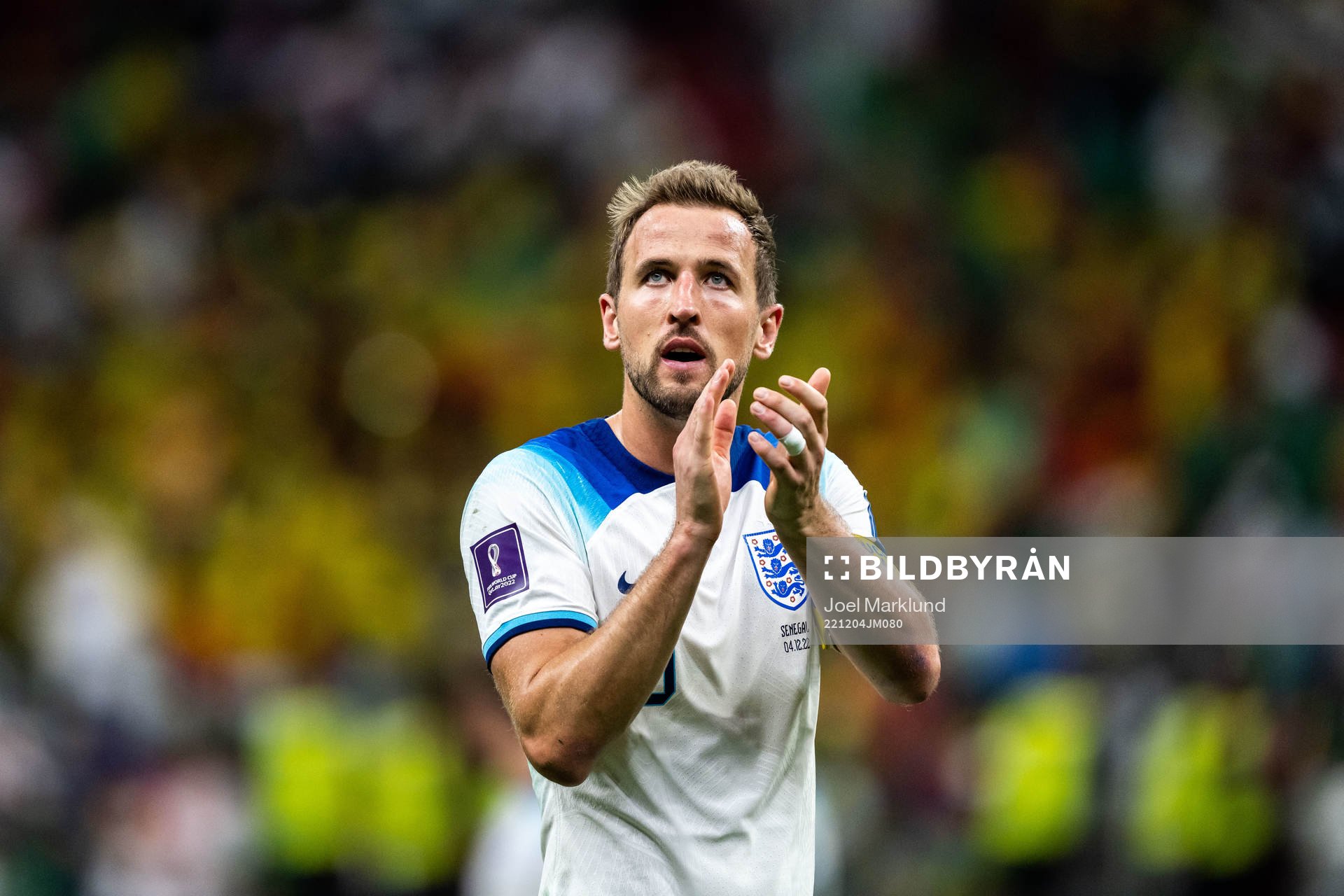 Harry Kane of England celebrates