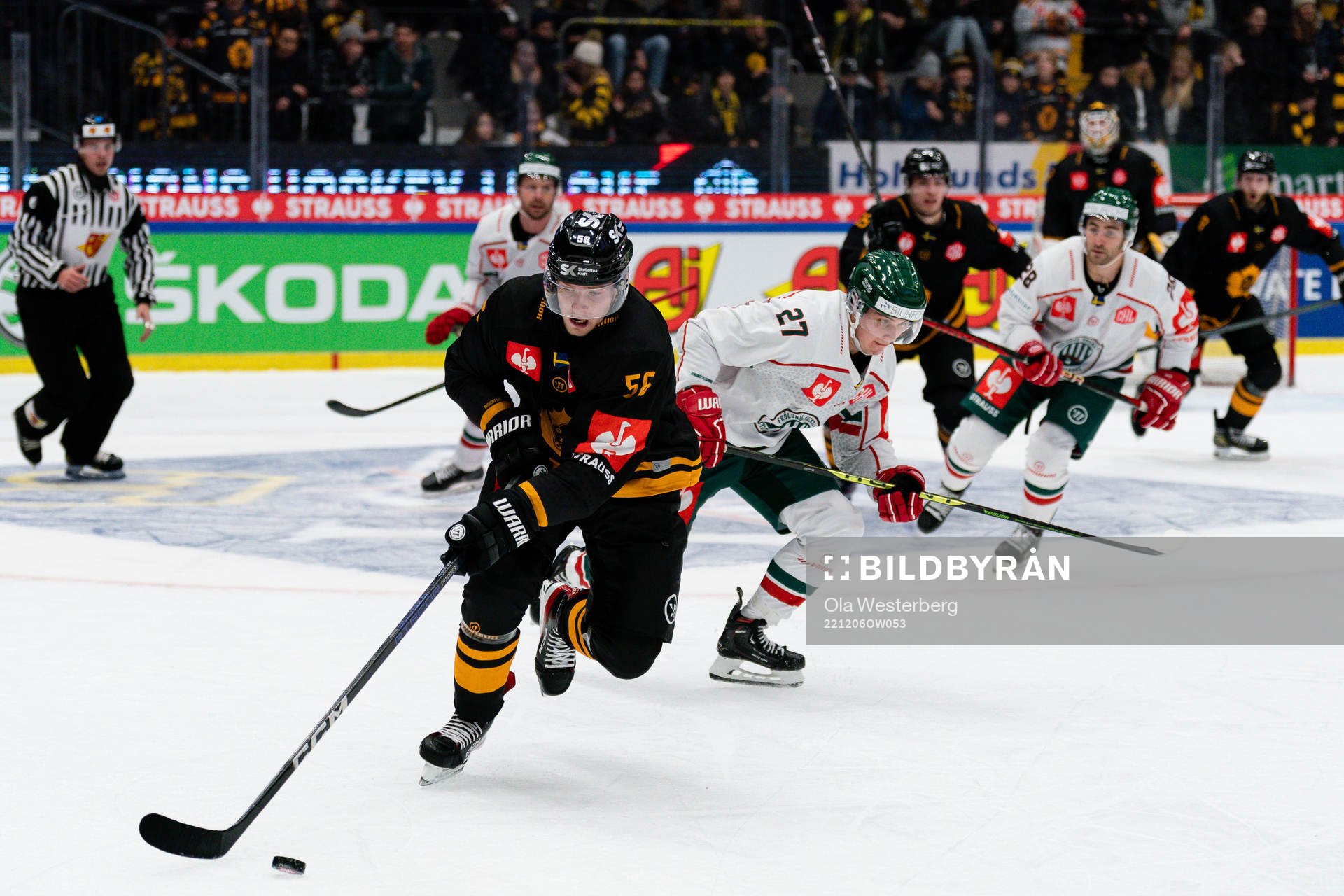 Skellefteås Anton Olsson