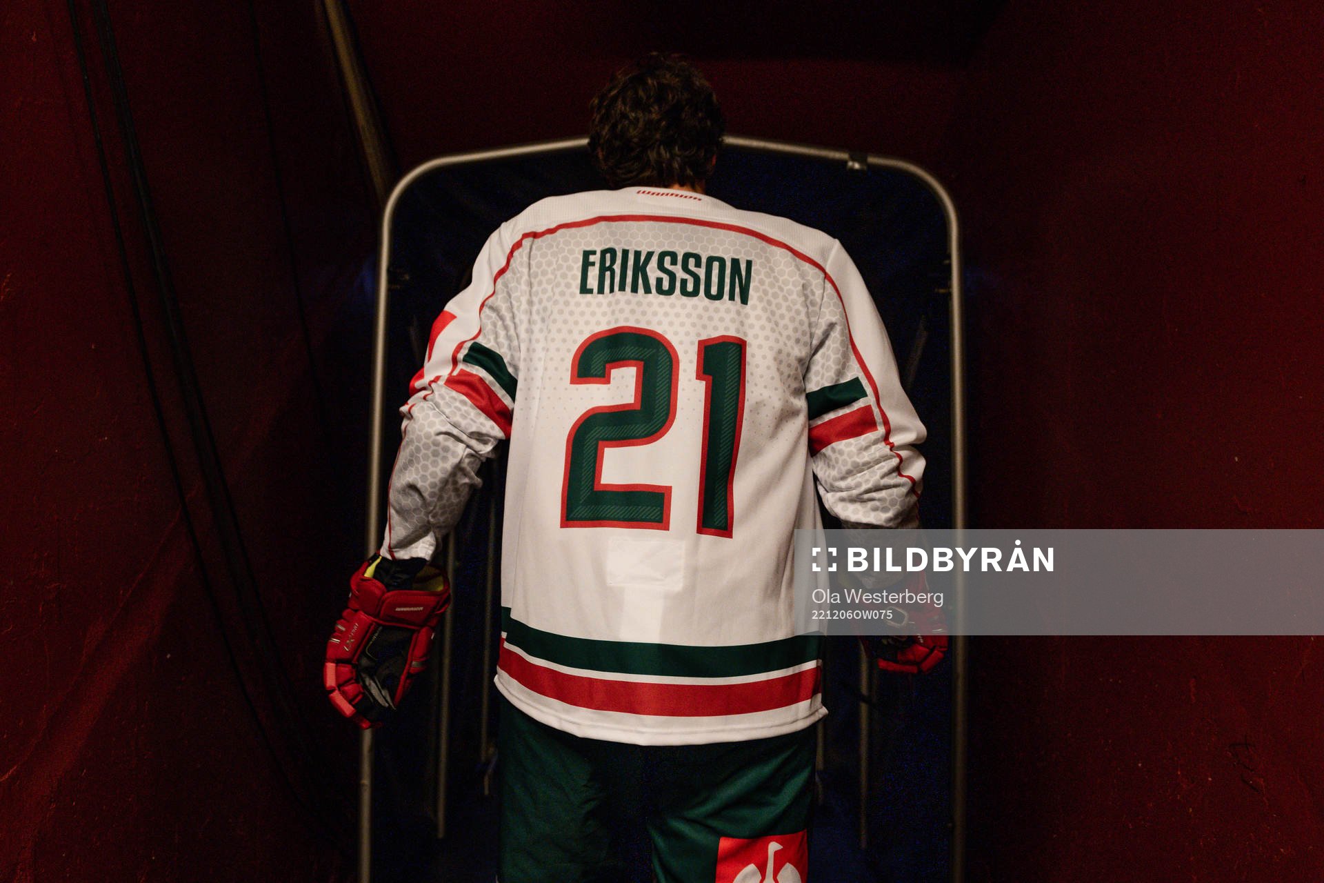 Frölundas Loui Eriksson