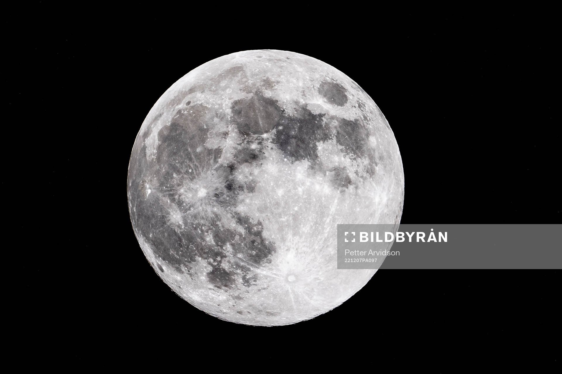 The moon