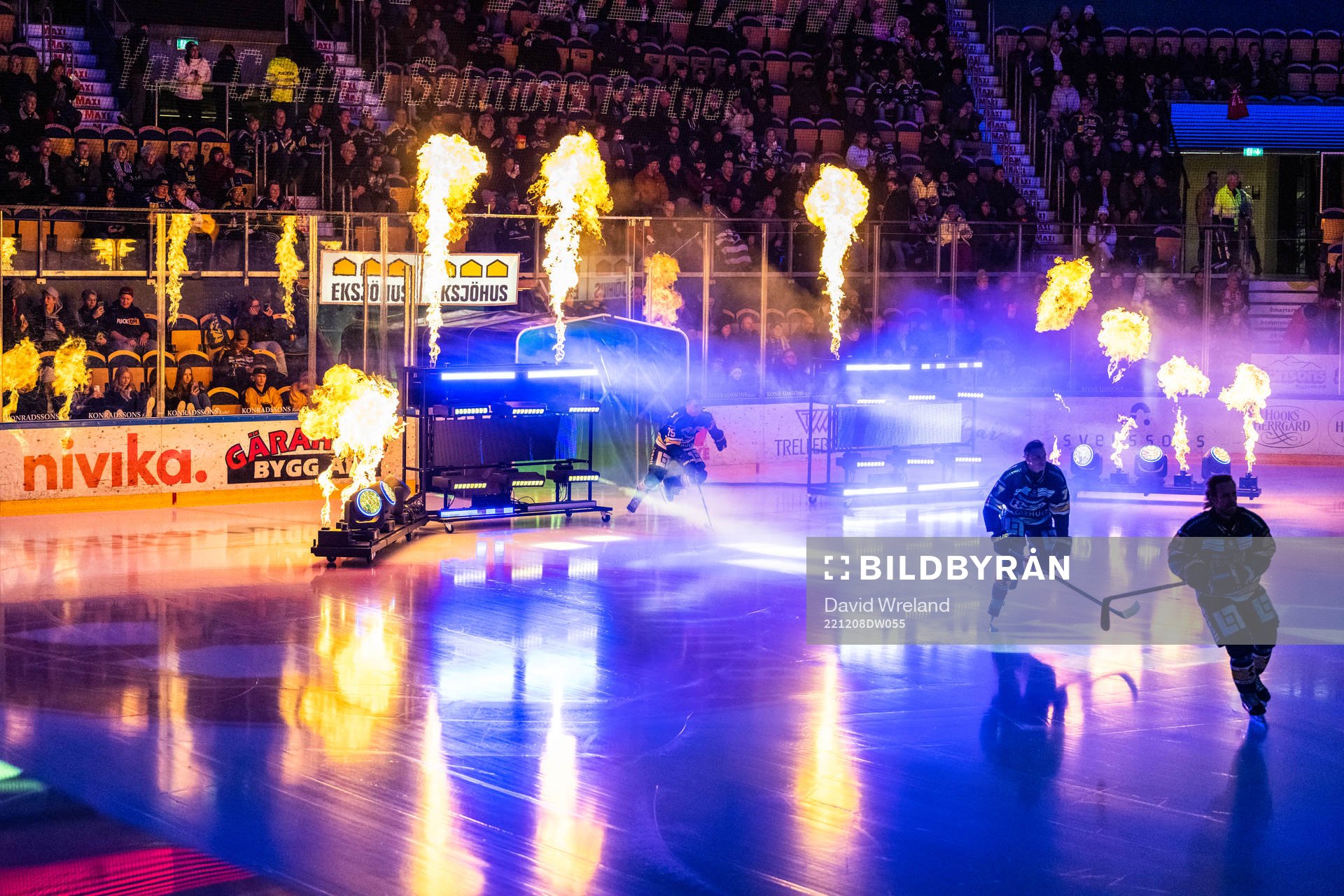 HV71s spelare äntrar isen