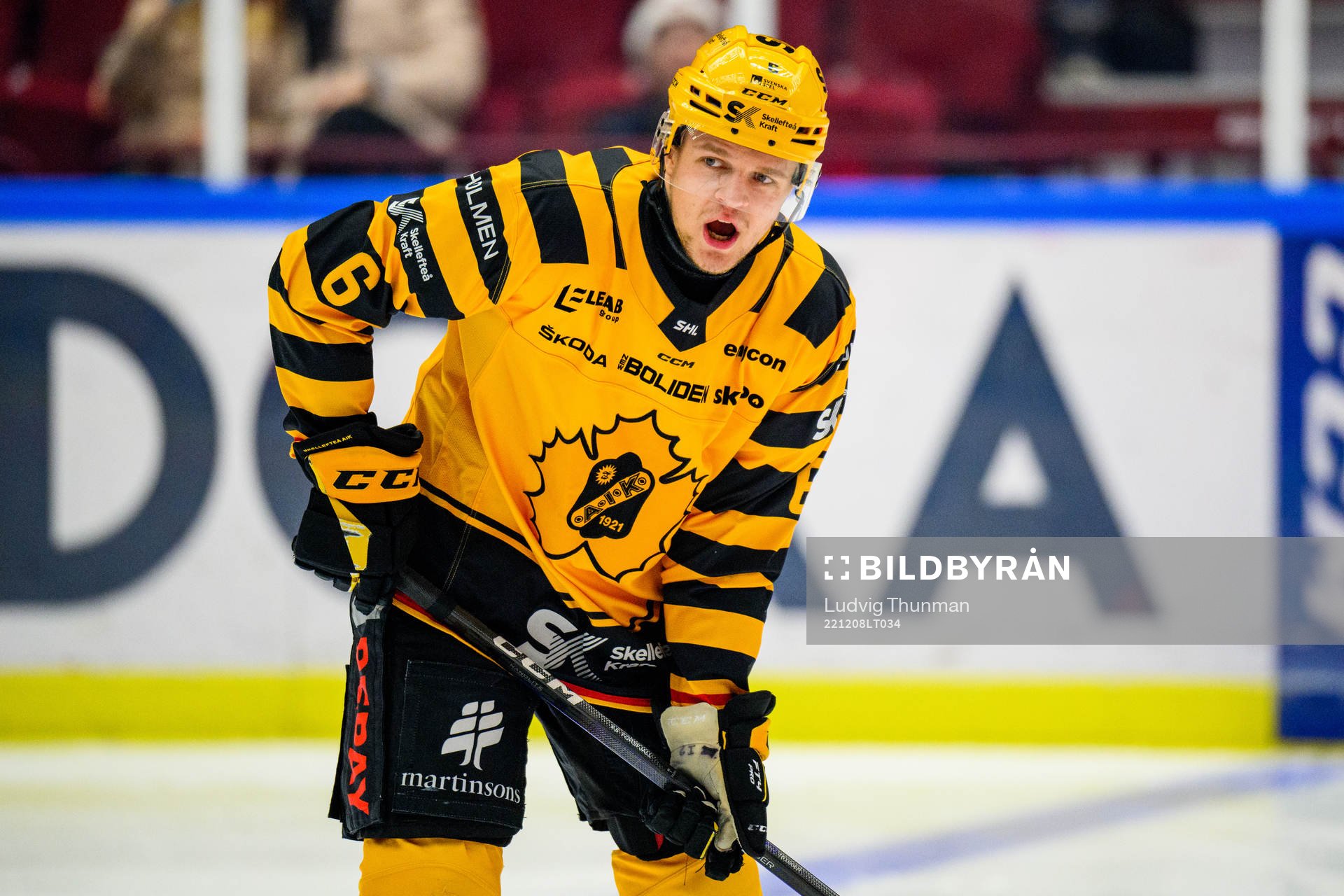 Skellefteås Måns Forsfjäll