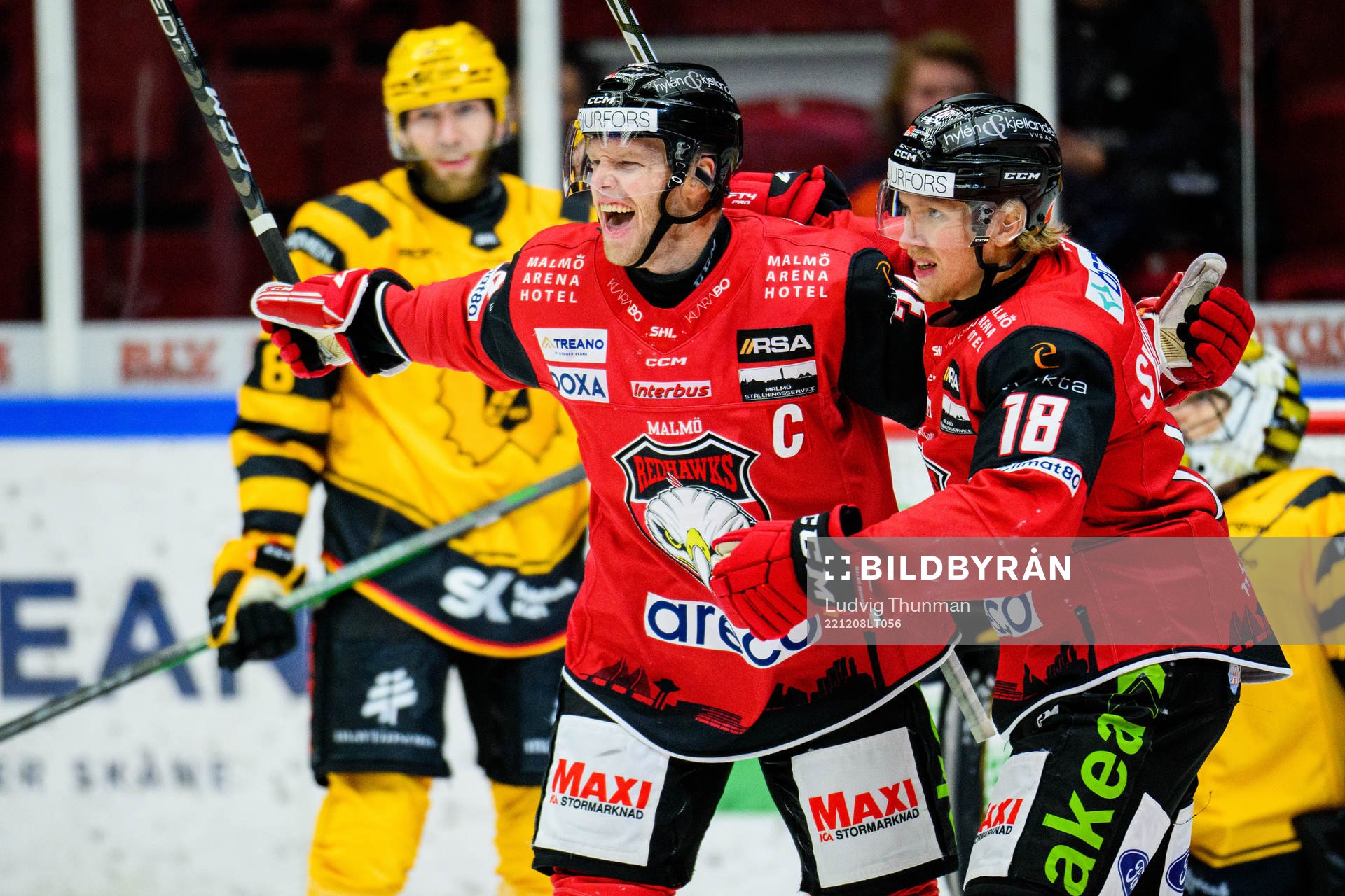Malmö Redhawks Carl Söderberg jublar med Marcus Sylvegård