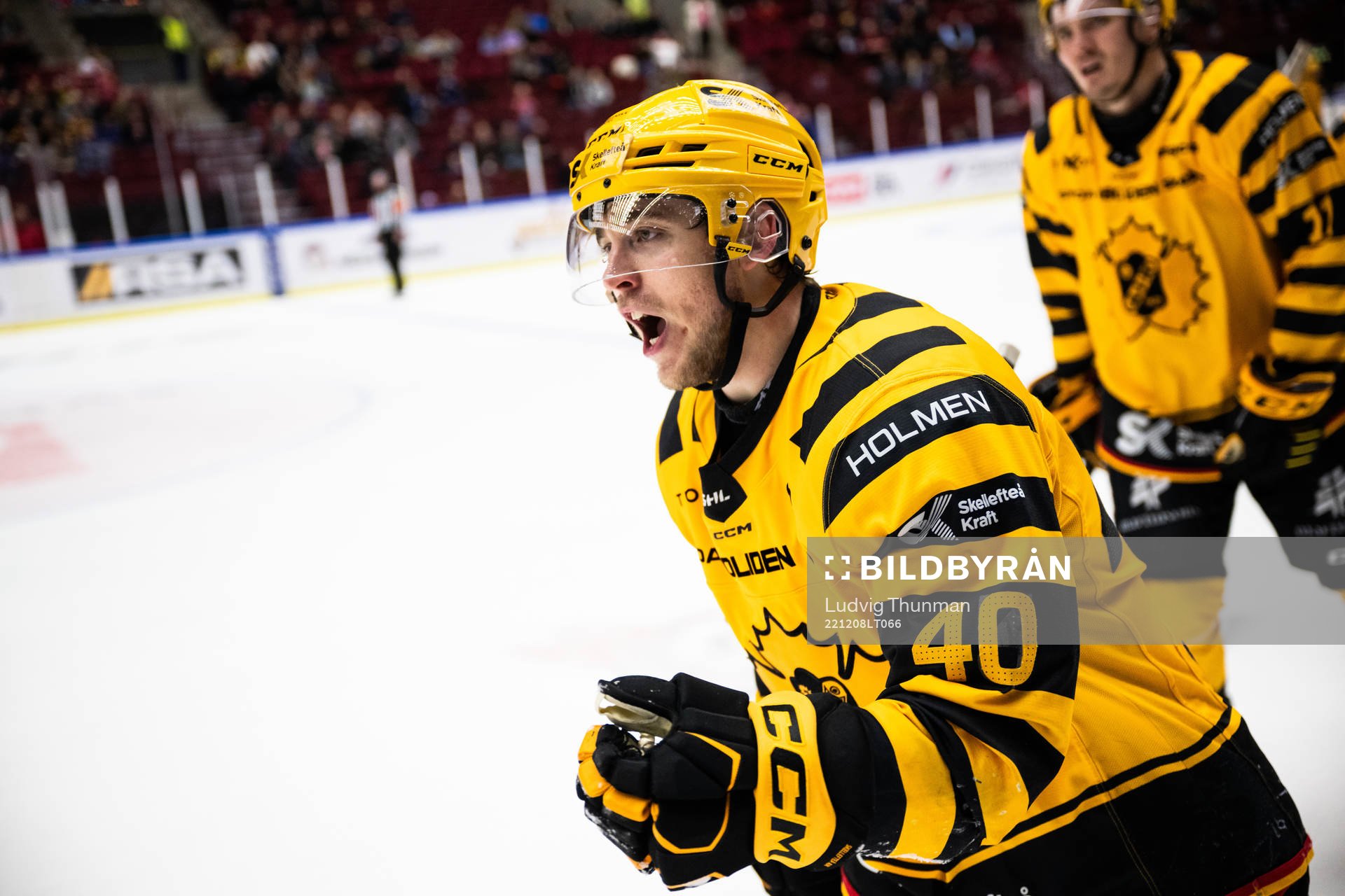 Skellefteås Andreas Wingerli jublar