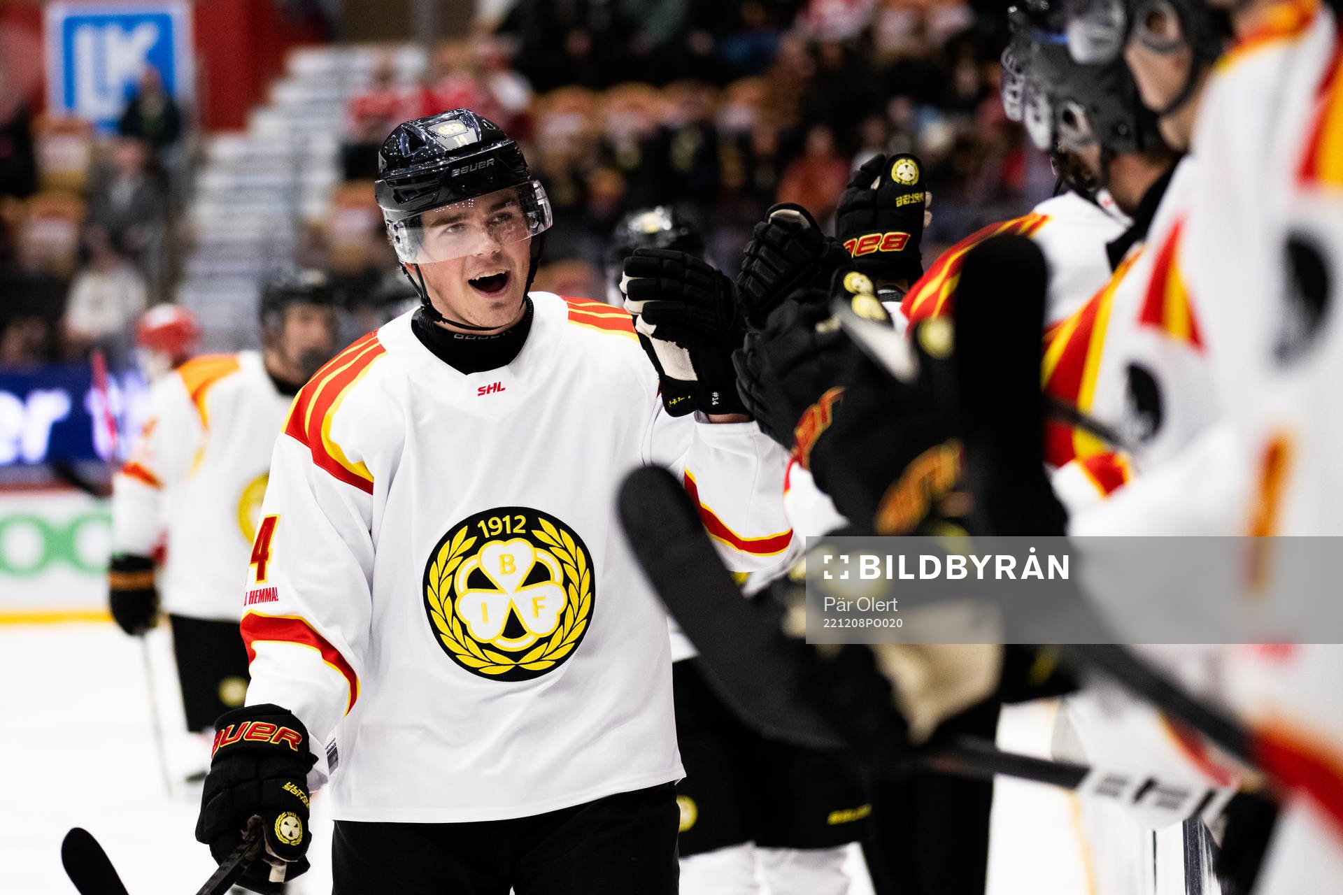 Brynäs jublar