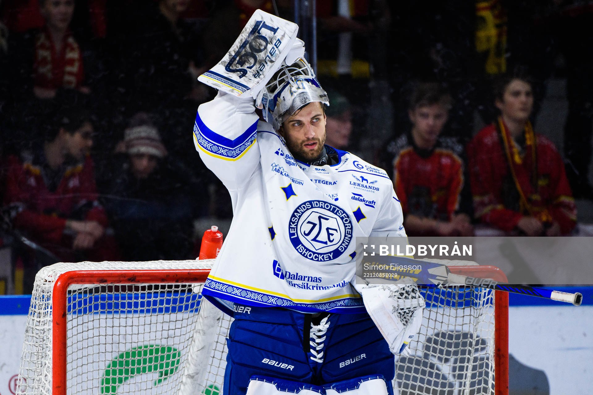 Leksands målvakt Mantas Armalis