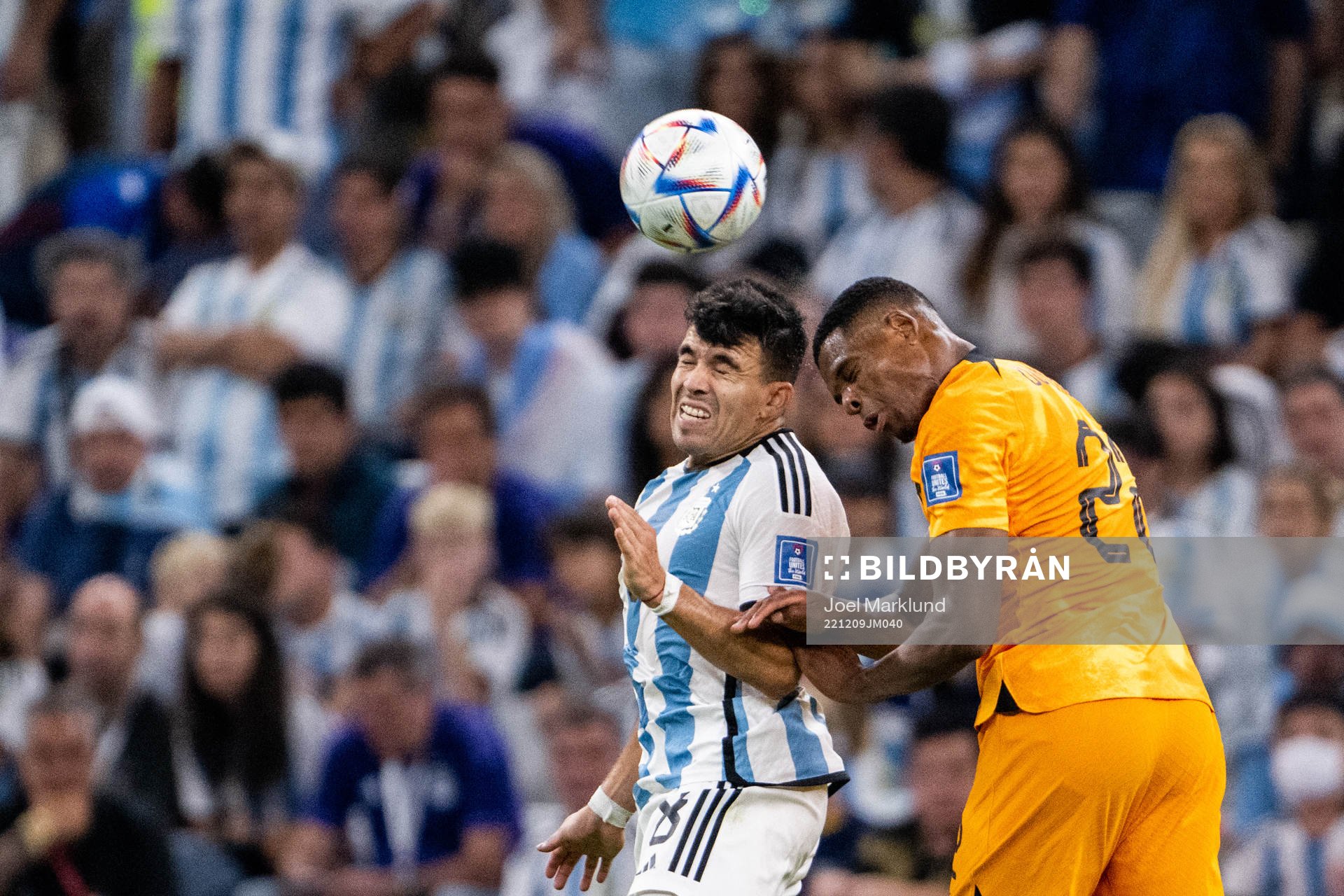 Marcos Acuna of Argentina and Denzel Dumfries of Netherlands