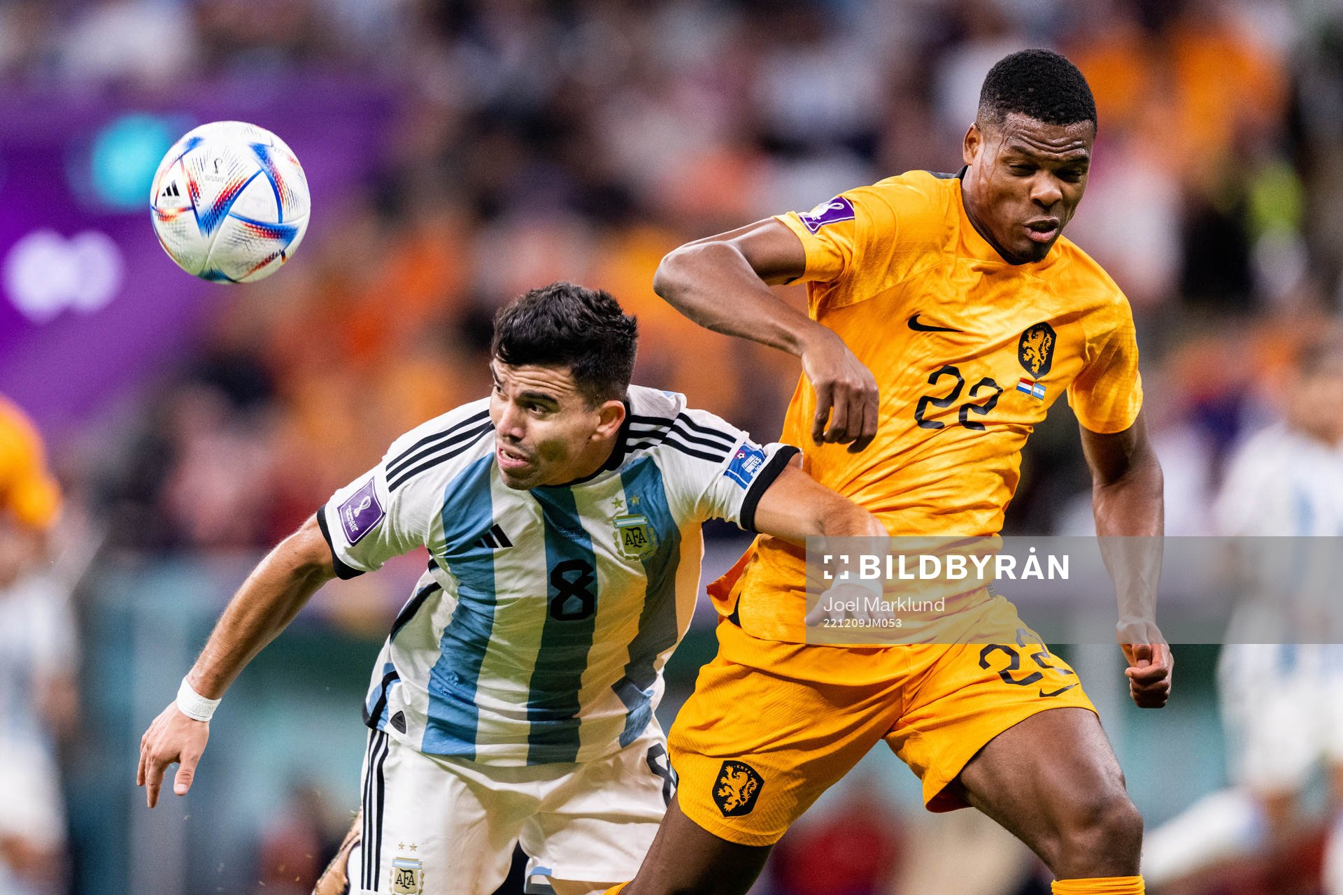 Marcos Acuna of Argentina and Denzel Dumfries of Netherlands