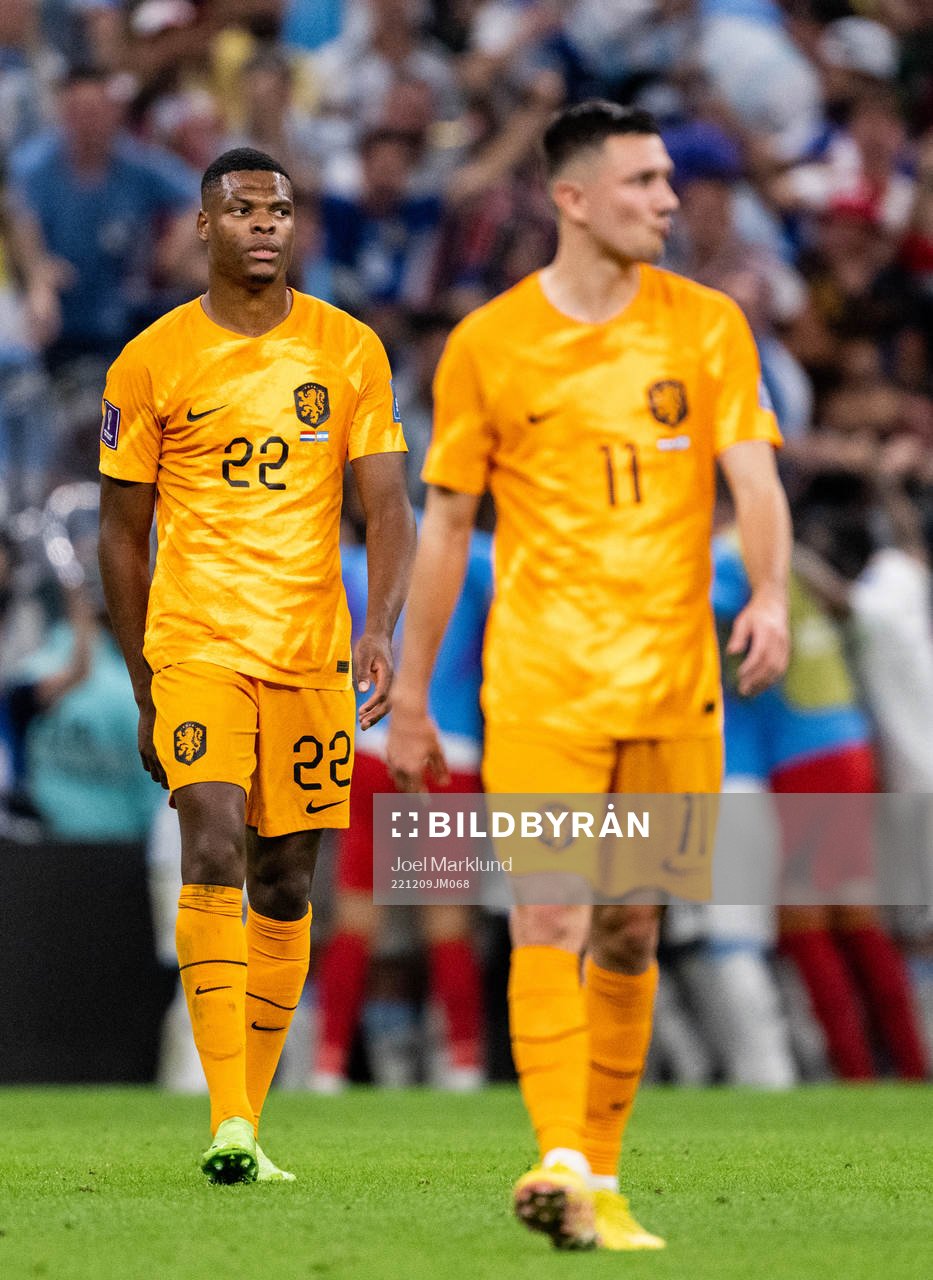 Denzel Dumfries and Steven Berghuis of Netherlands looks