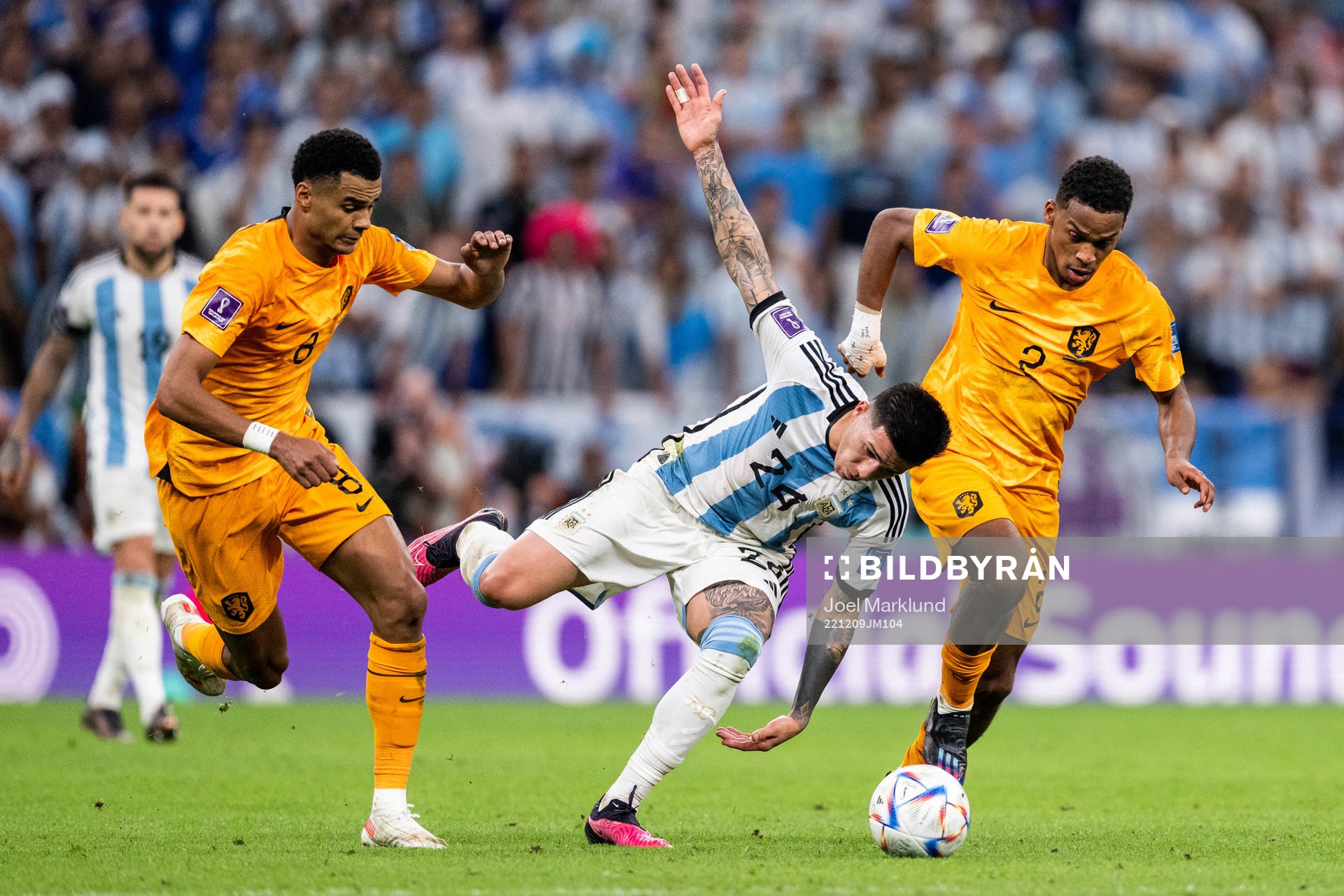 Enzo Fernandez of Argentina against Cody Gakpo and Jurrien