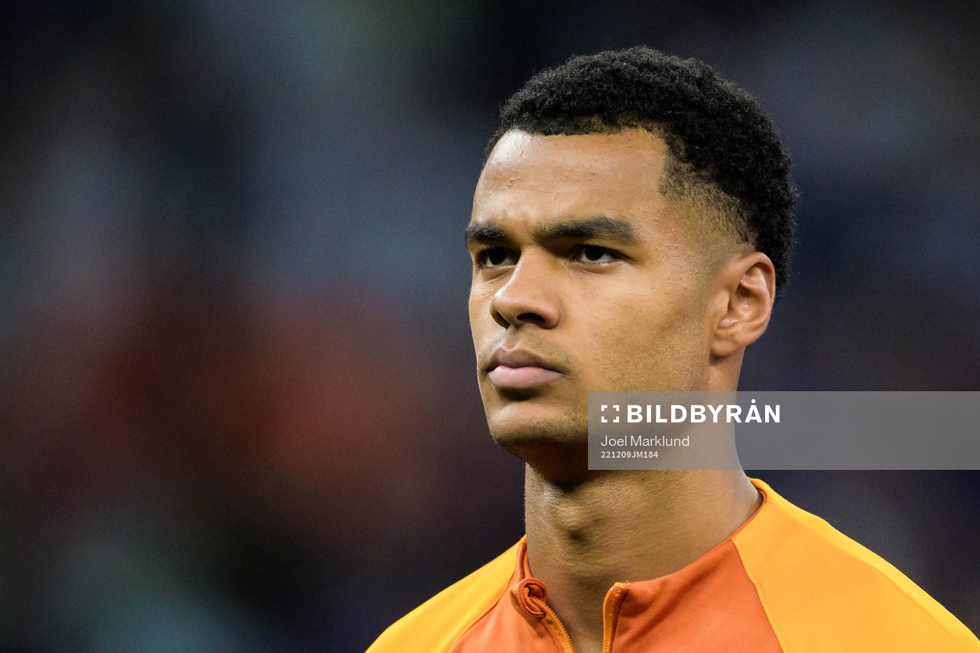 Cody Gakpo of Netherlands