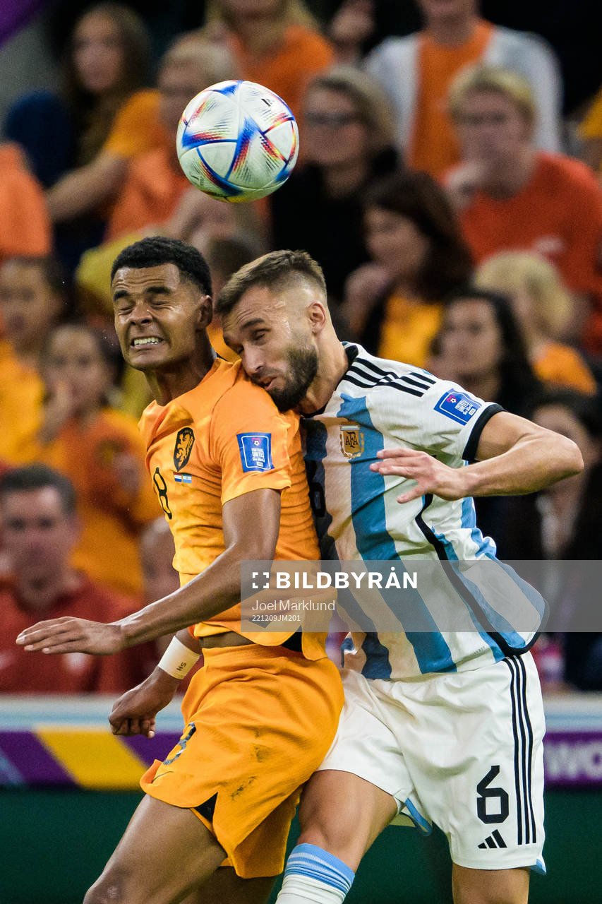 Cody Gakpo of Netherlands and German Pezzella of Argentina
