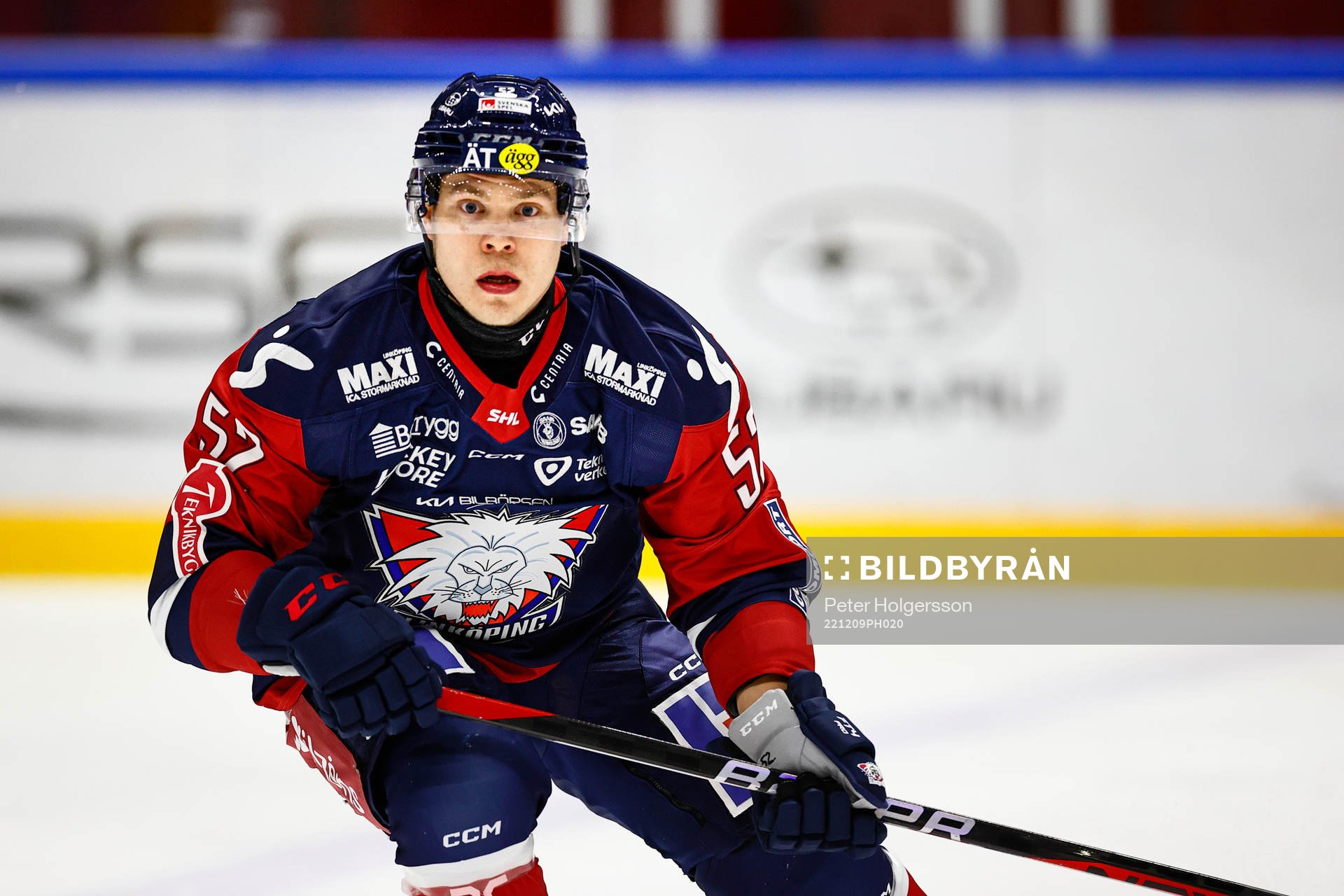 Linköpings Petrus Palmu