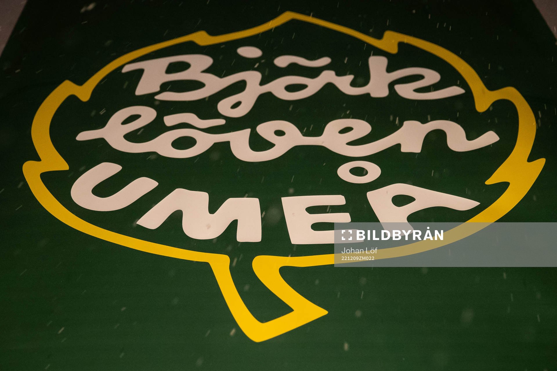Björklövens klubbmärke