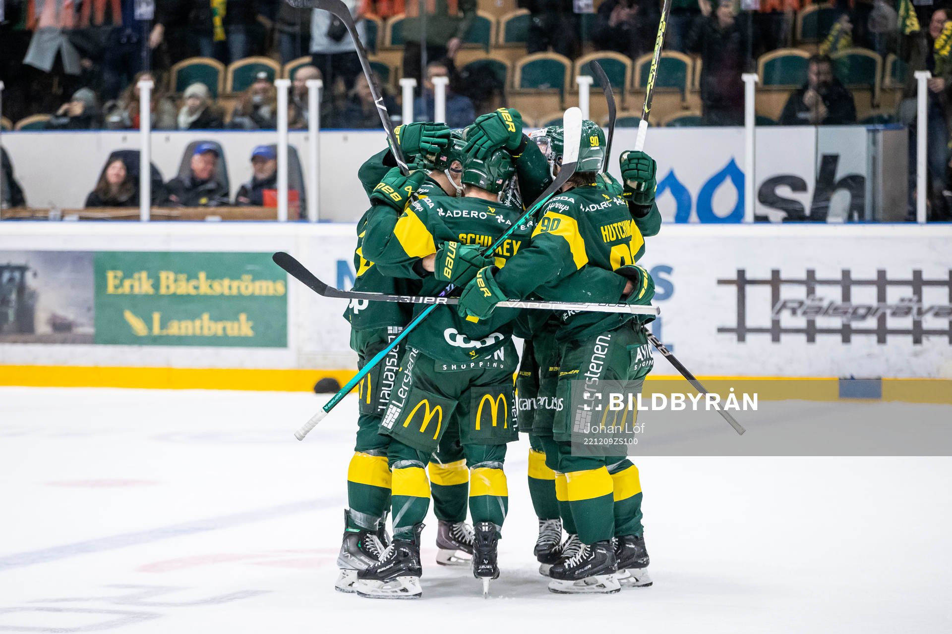 Björklöven jublar