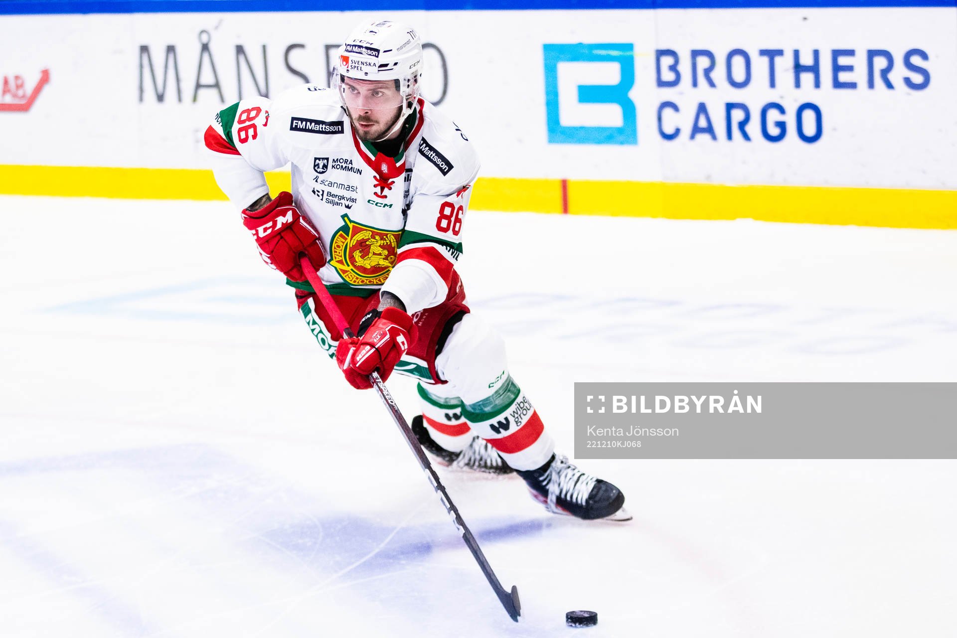 Moras Albin Grewe