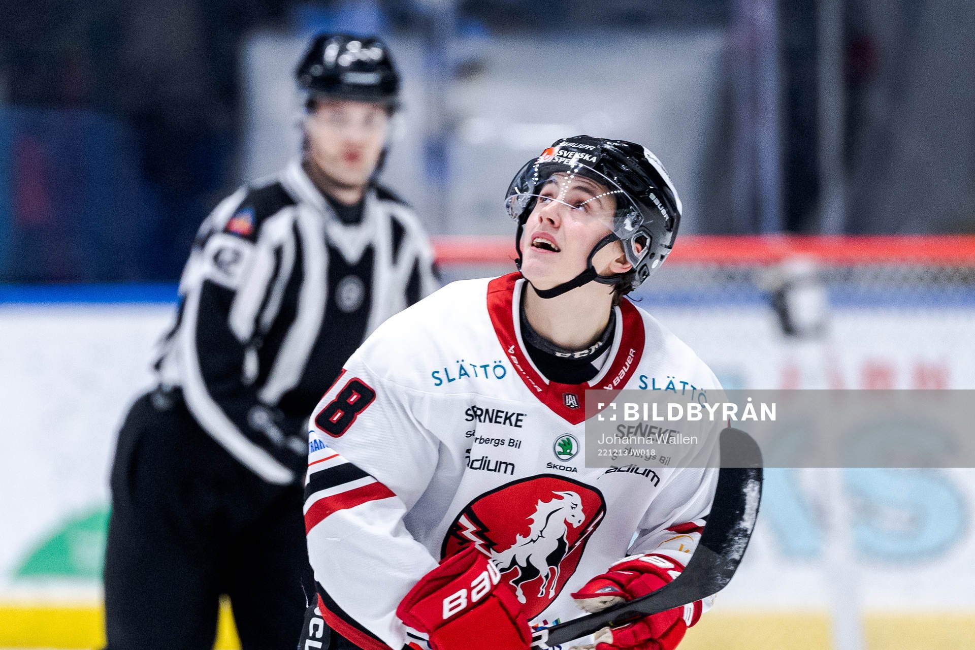Vita Hästens Sebastian Falk