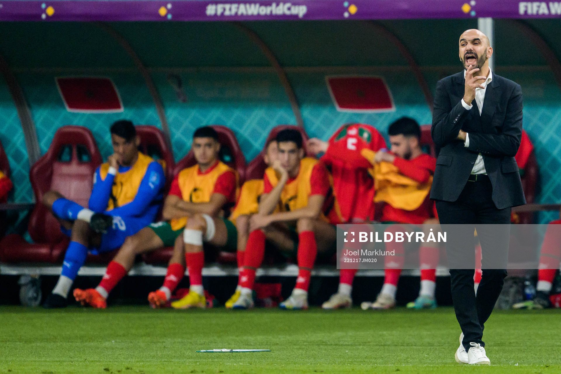 head coach Walid Regragui of Morocco