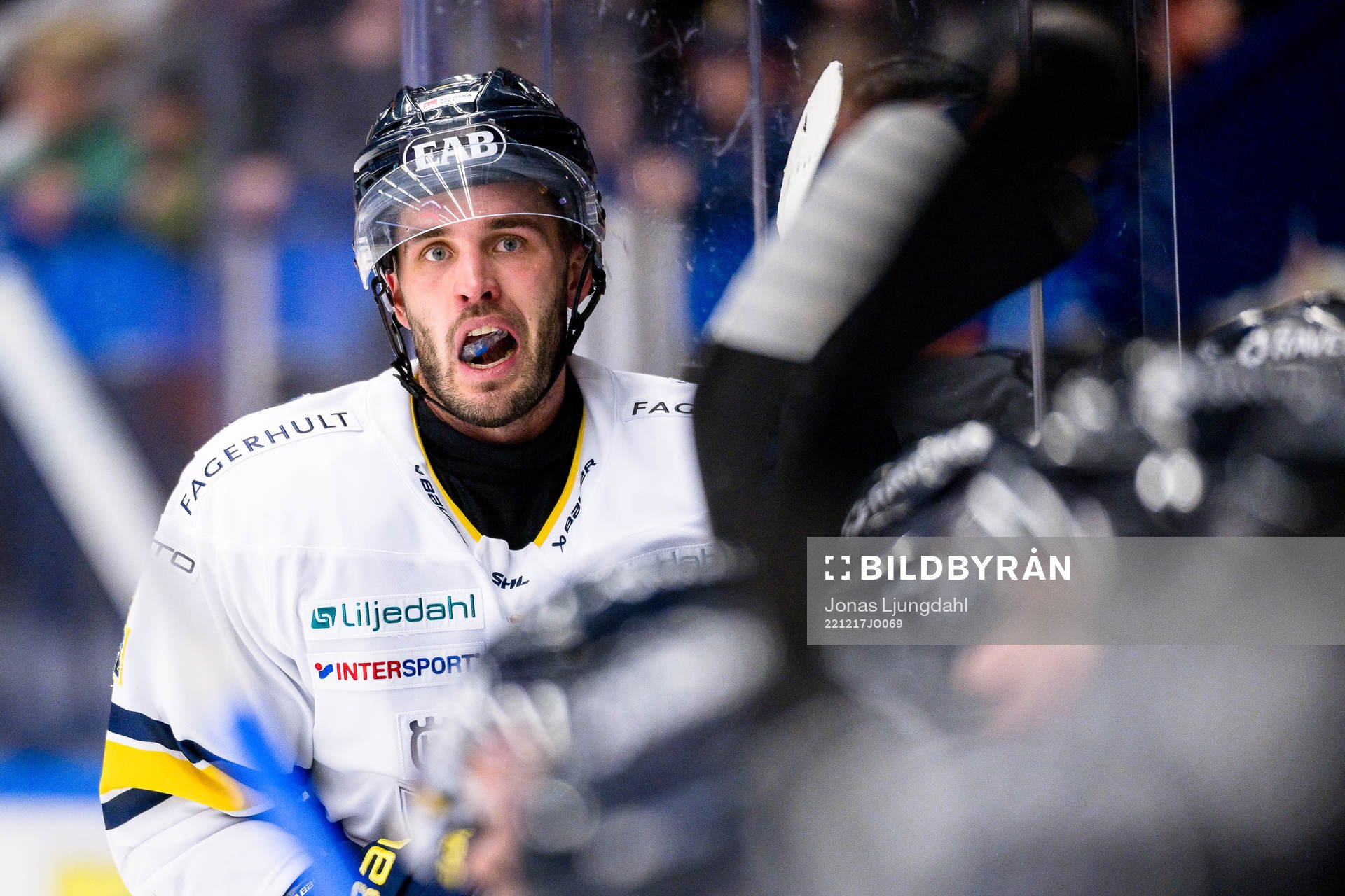 HV71s Niklas Hjalmarsson