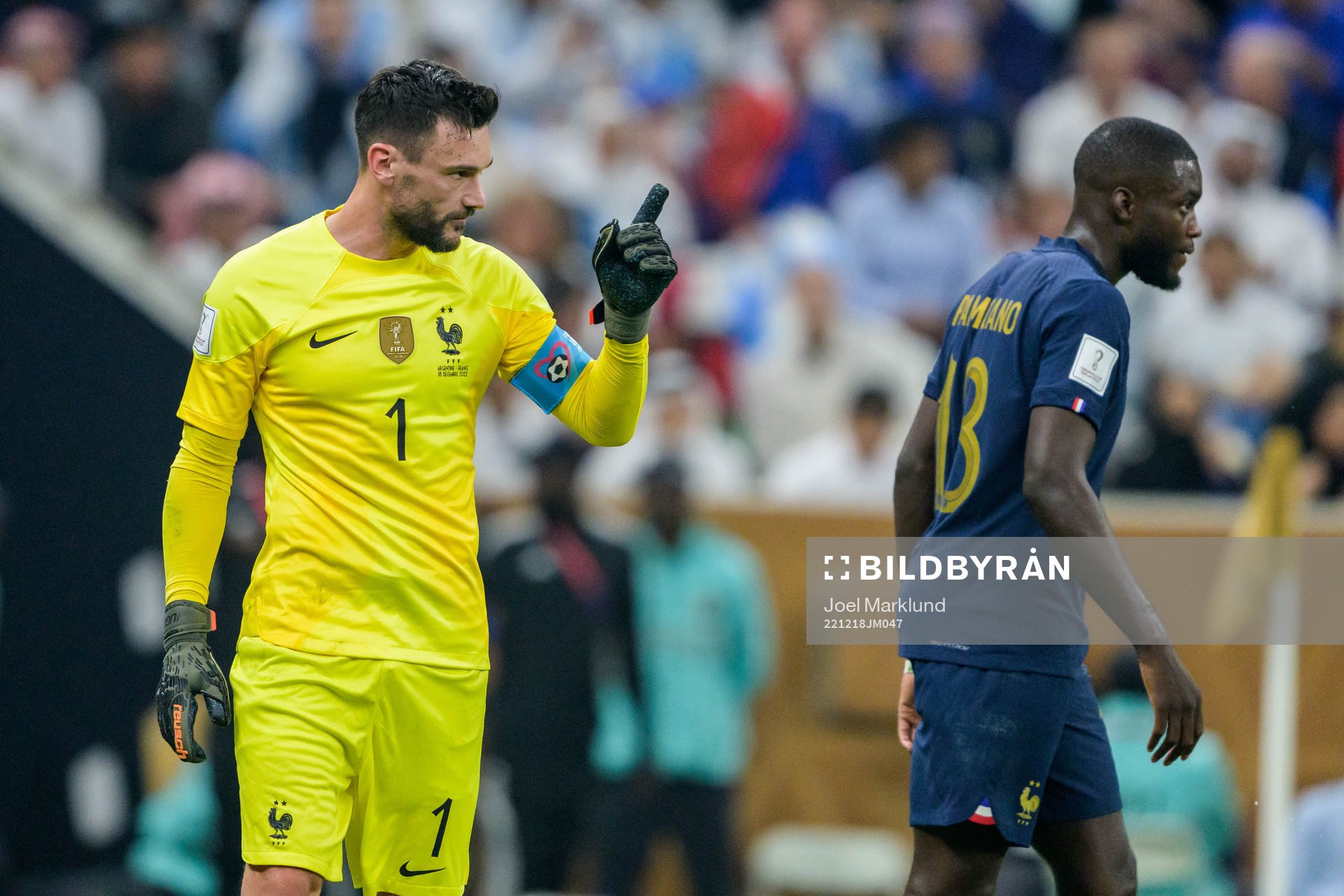 goalkeeper Hugo Lloris of France