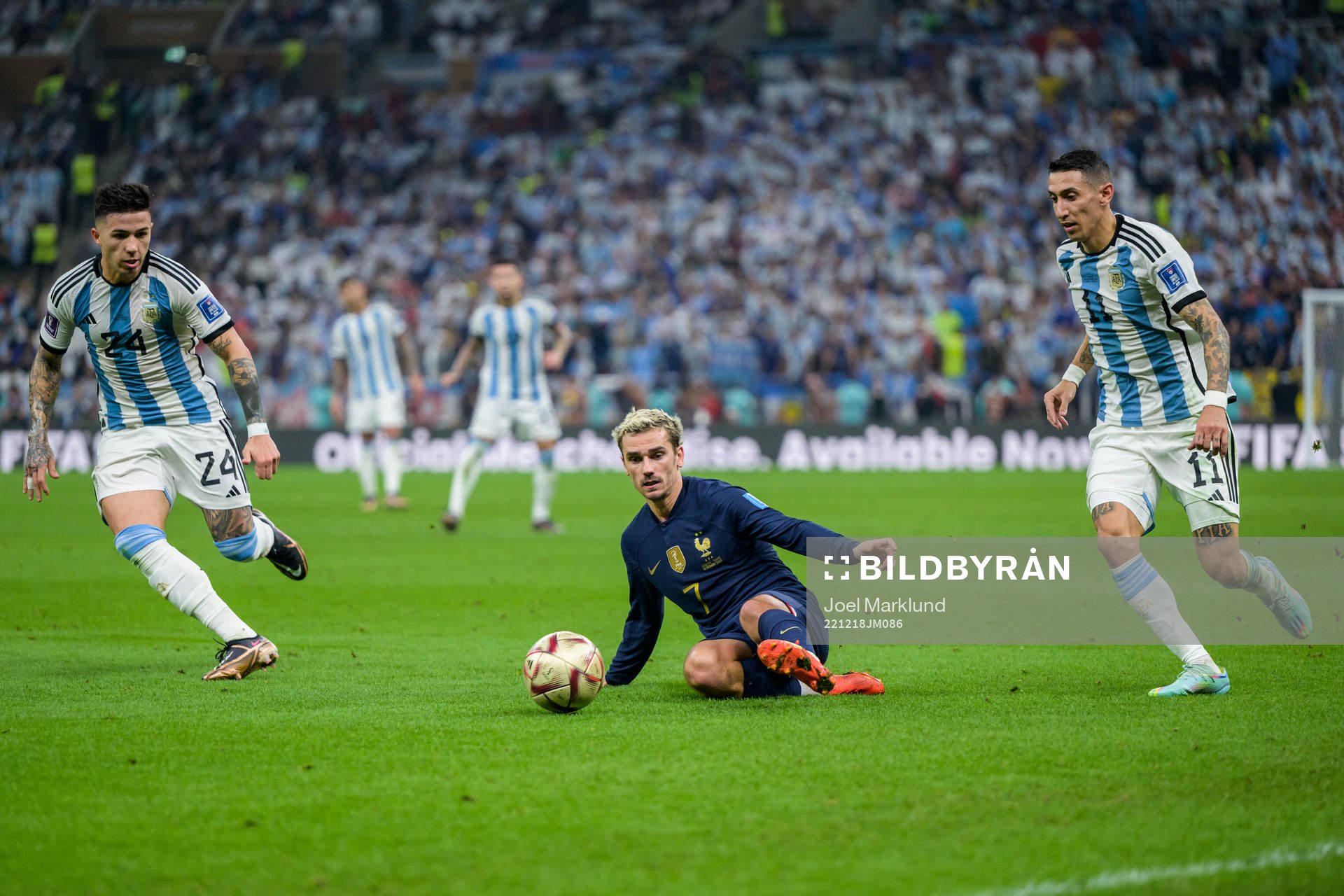 Enzo Fernandez and Angel de Maria of Argentina against
