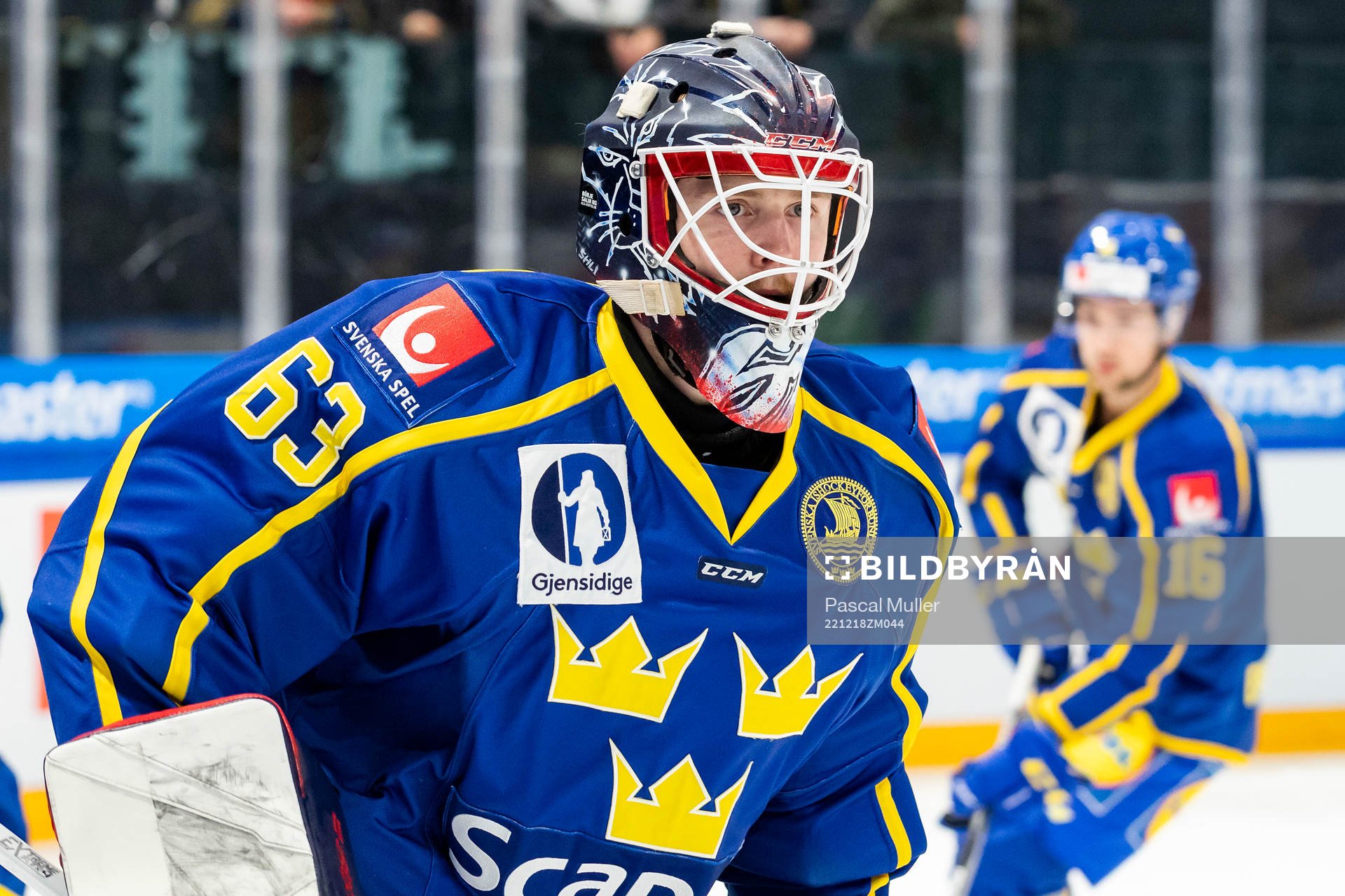 Goalkeeper Marcus Högberg of Sweden