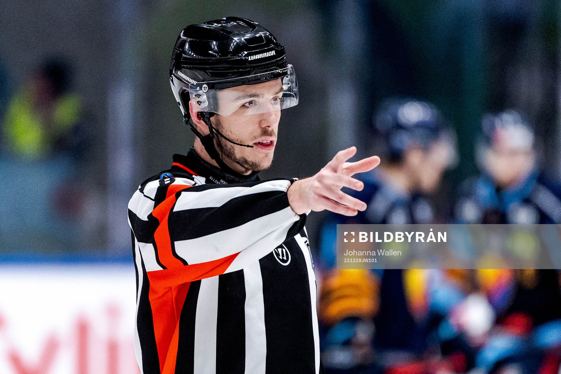 Domare Oscar Niklasson