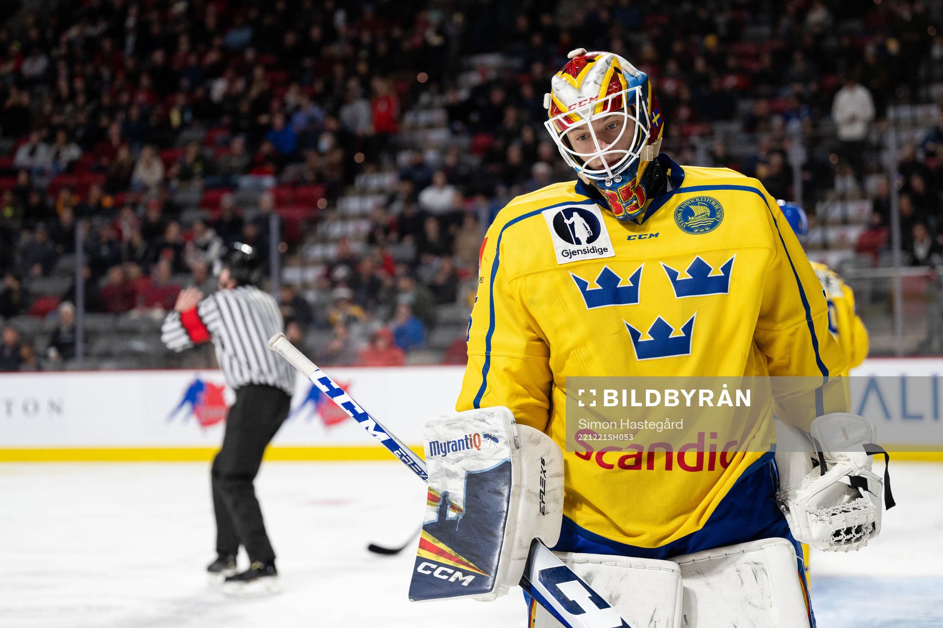 Goaltender Carl Lindbom of Sweden