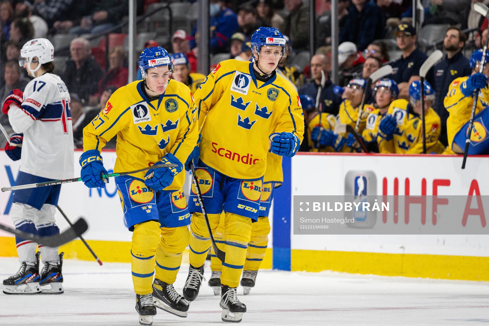 Oskar Pettersson and Elias Pettersson of Sweden look