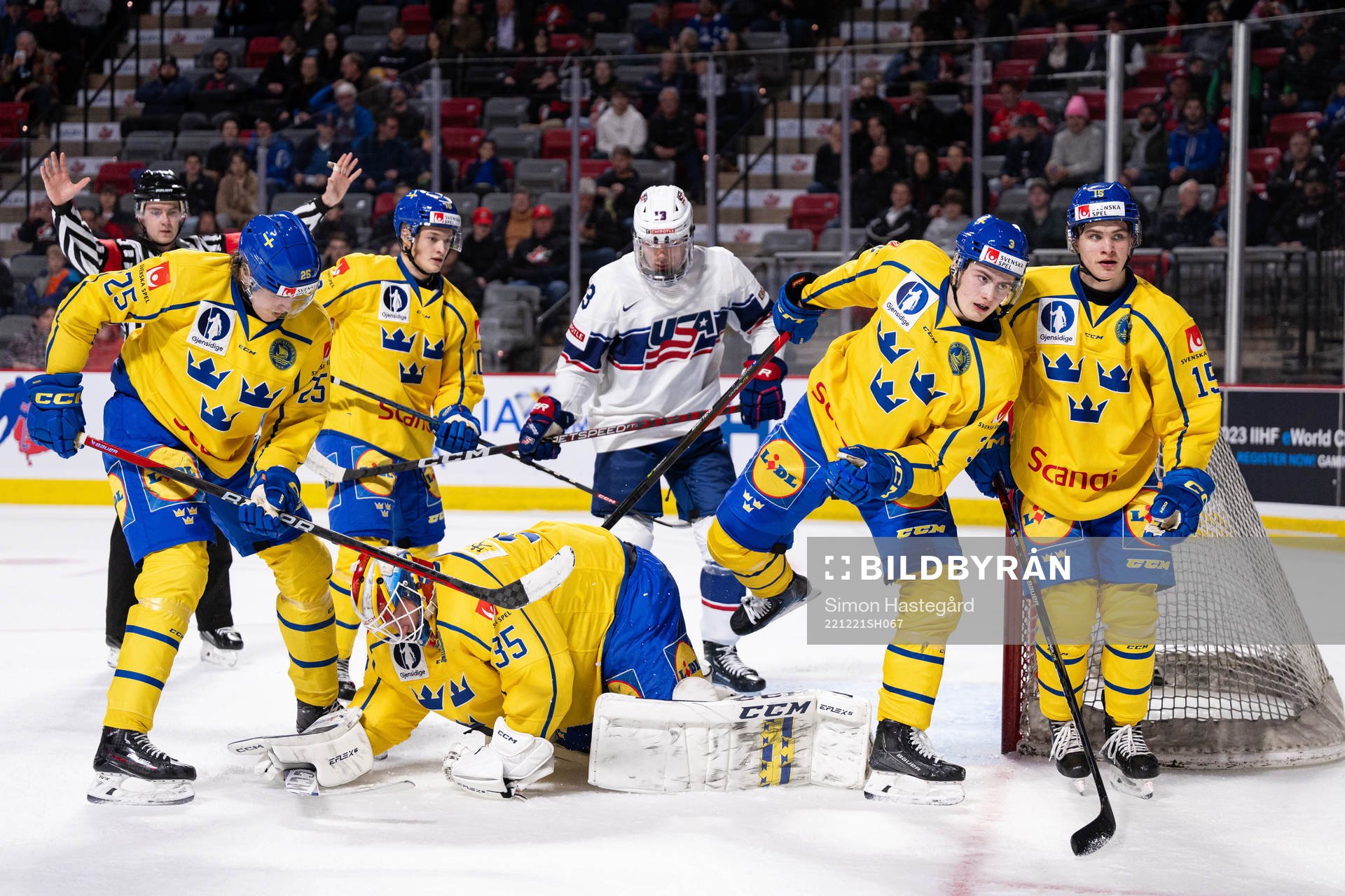 Milton Oscarson , Fabian Wagner , goaltender Carl Lindbom ,