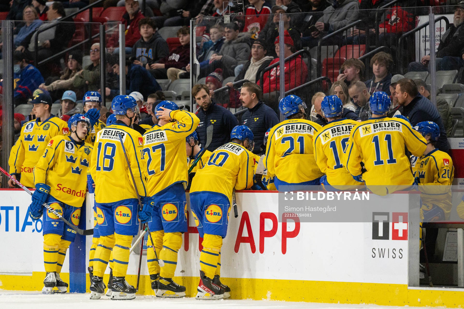 Players of Sweden