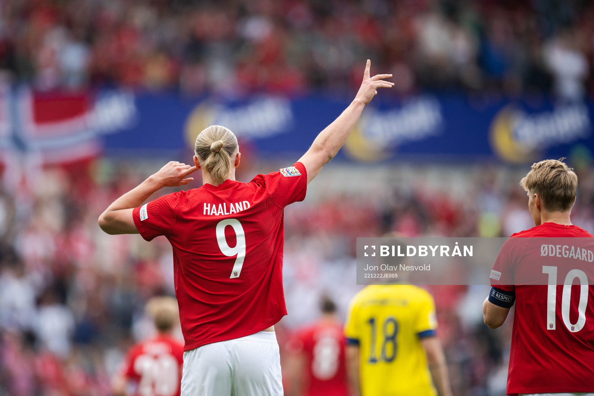 This picture is part of Bildbyrån’s selection of best