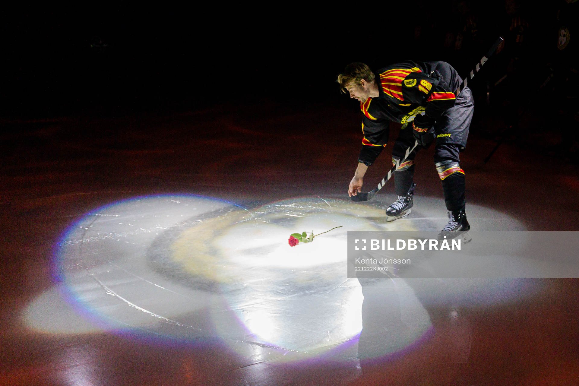 This picture is part of Bildbyrån’s selection of best