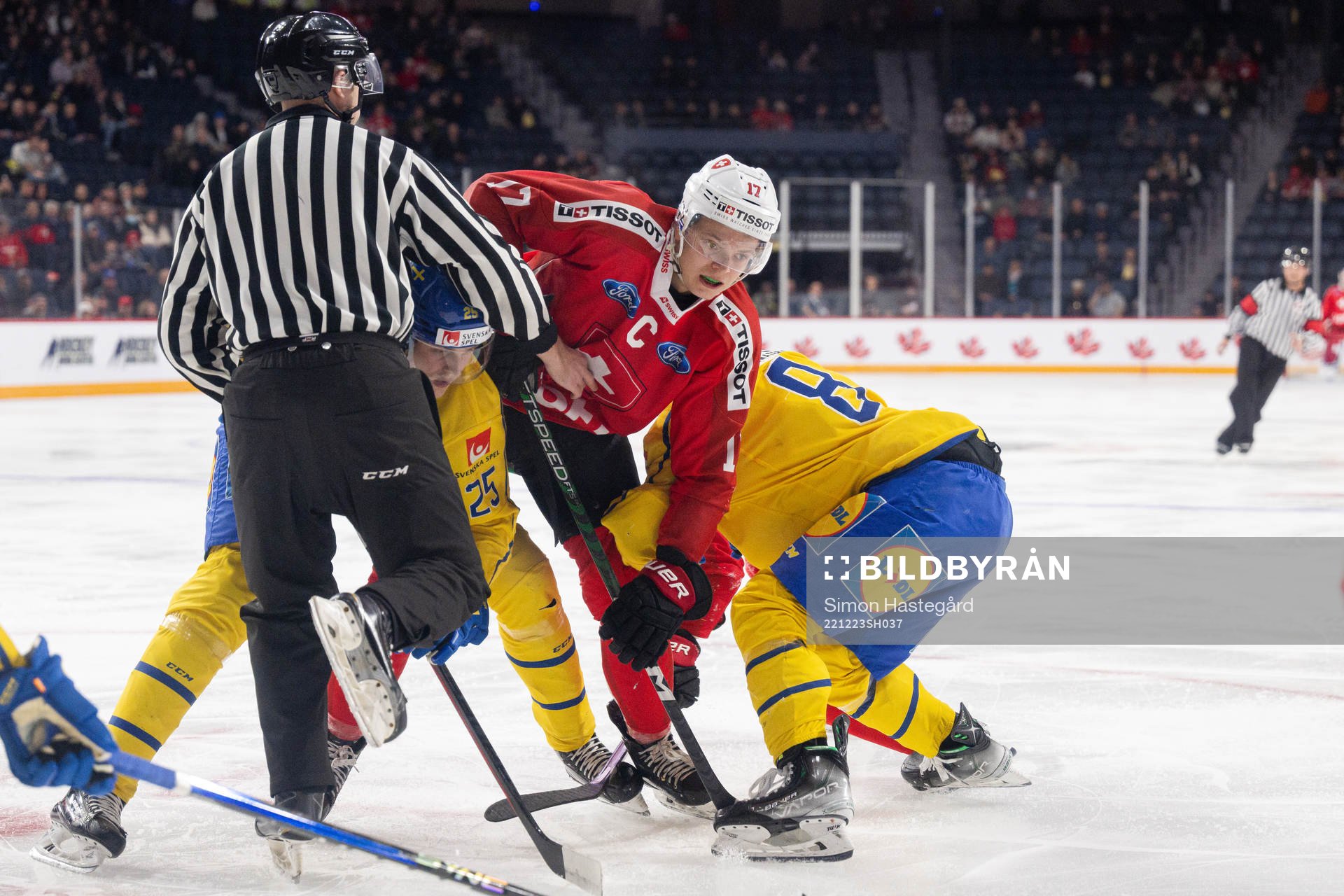 Attilio Biasca of Switzerland and Milton Oscarson of Sweden