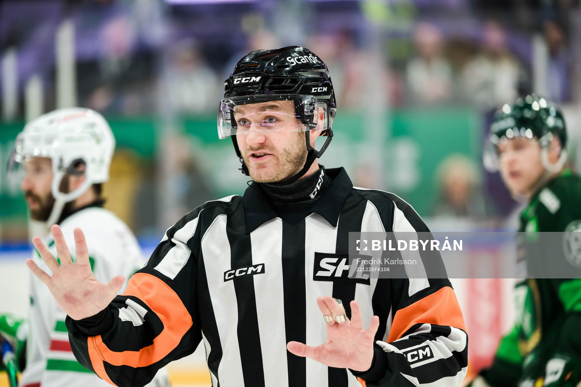 Domare Daniel Eriksson