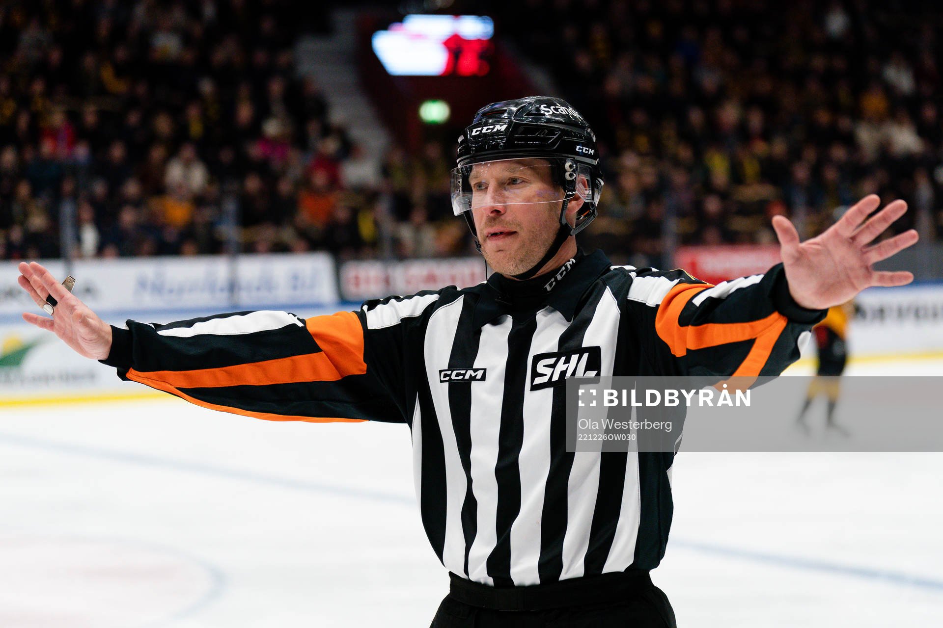 Domare Tobias Björk