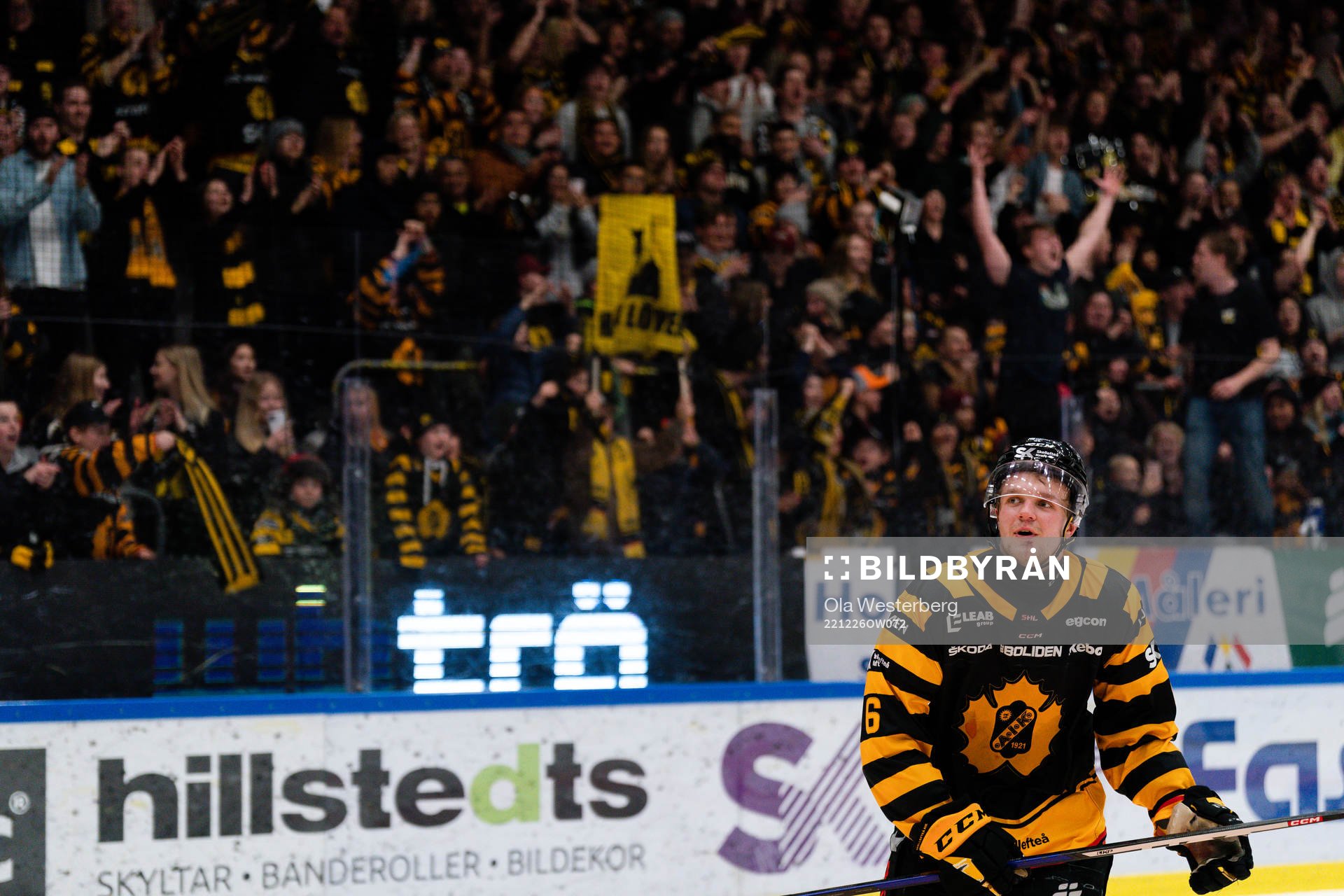 Skellefteås Måns Forsfjäll jublar