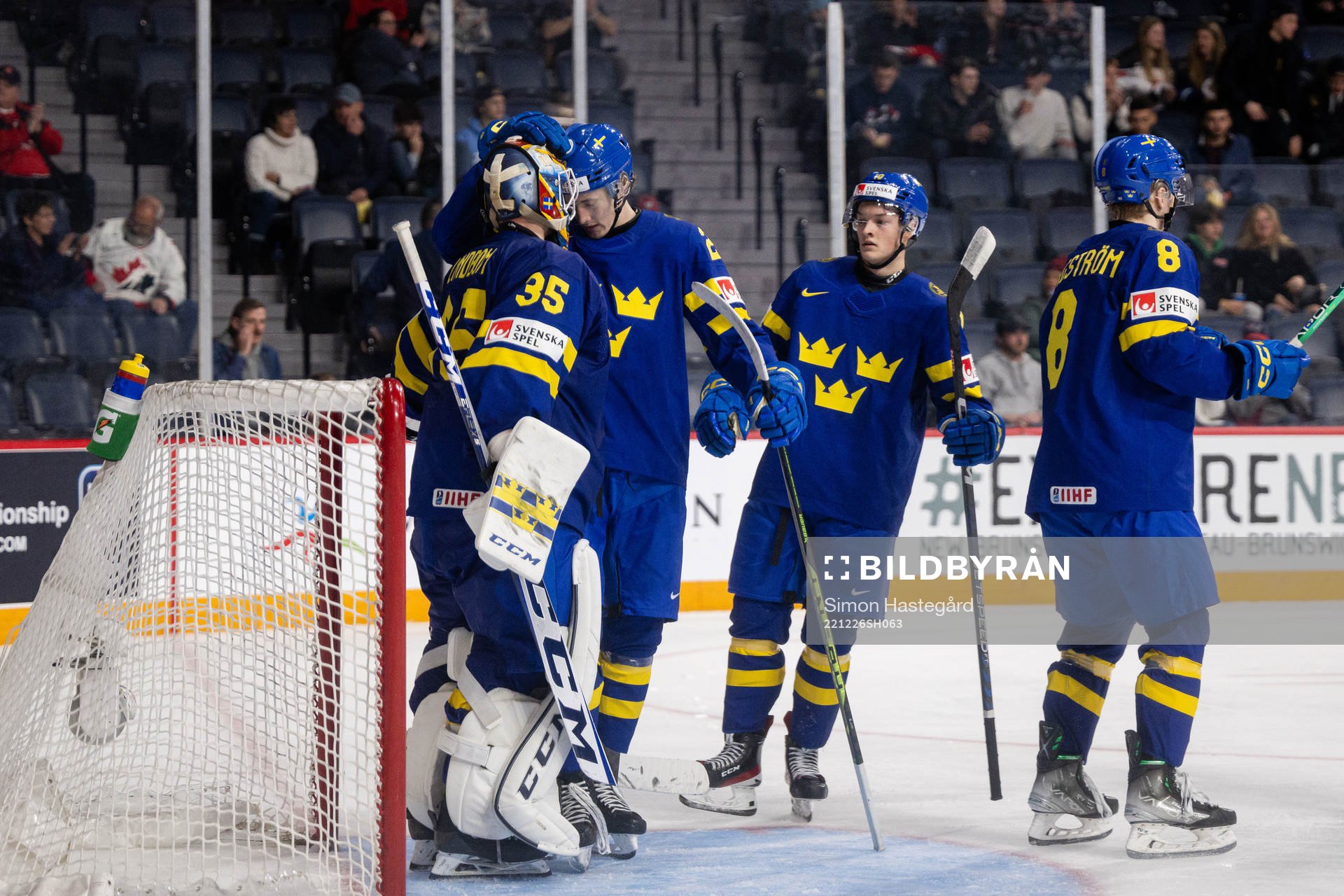 Goaltender Carl Lindbom, William Strömgren , Fabian Wagner