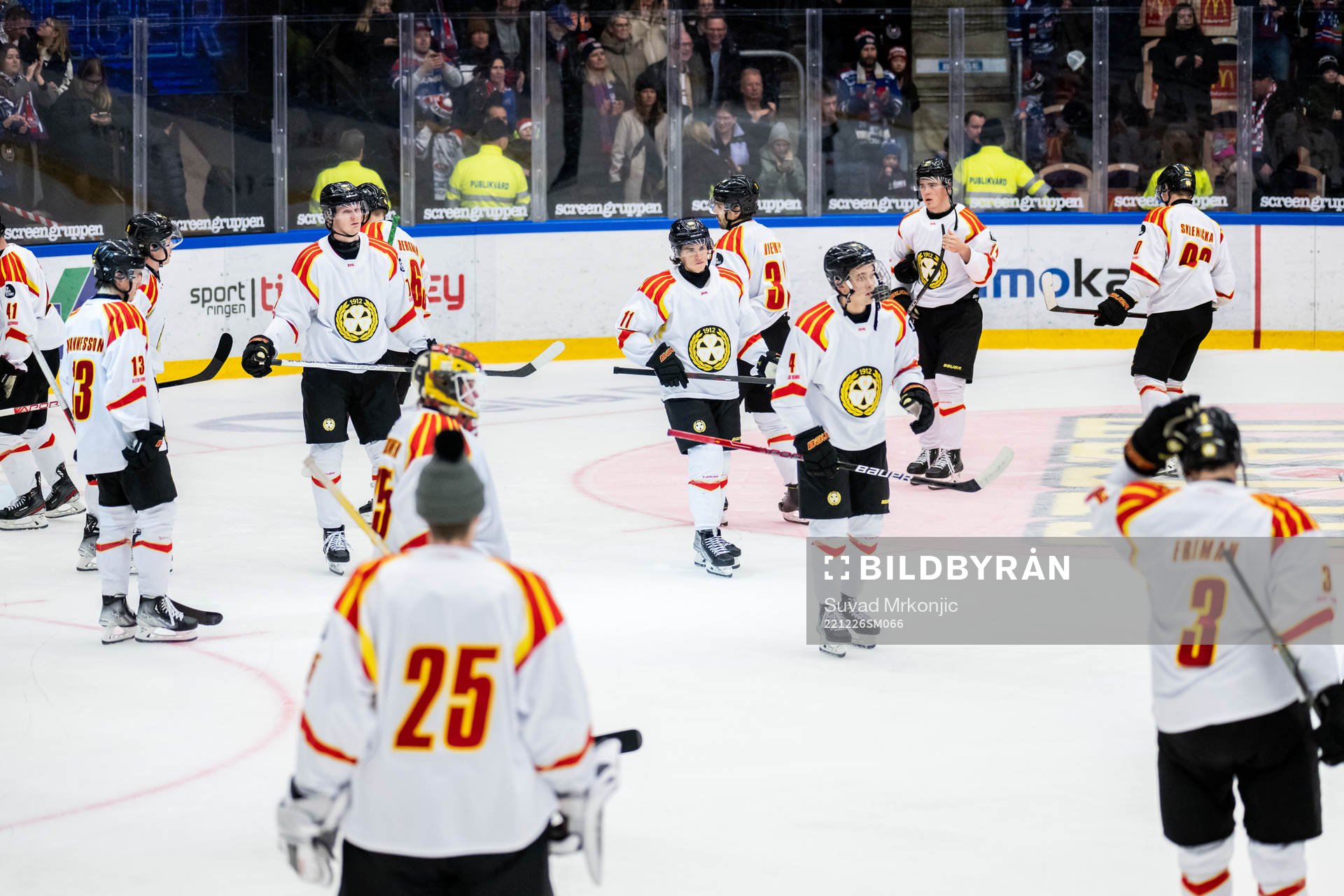 Brynäs spelare deppar
