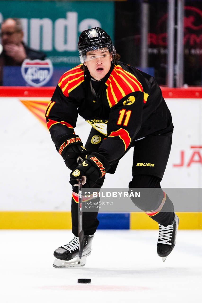 Brynäs Kevin Roy