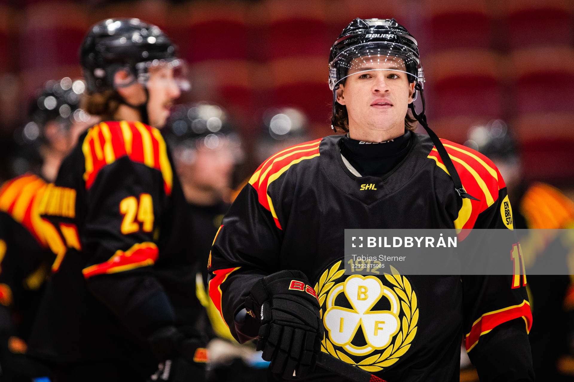 Brynäs Kevin Roy